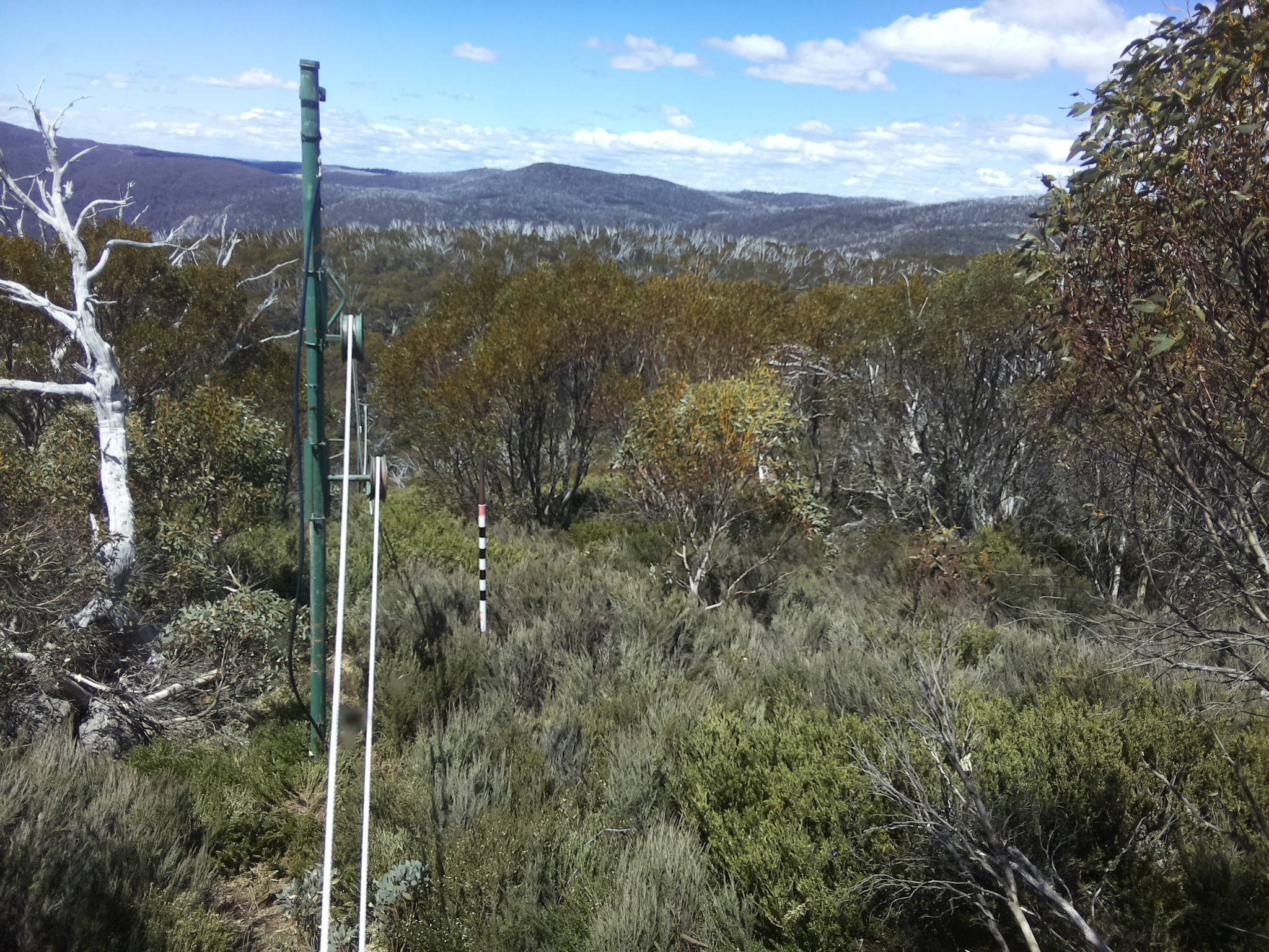 Bogong Web Cam 12:50pm Wednesday 29th of October 2025