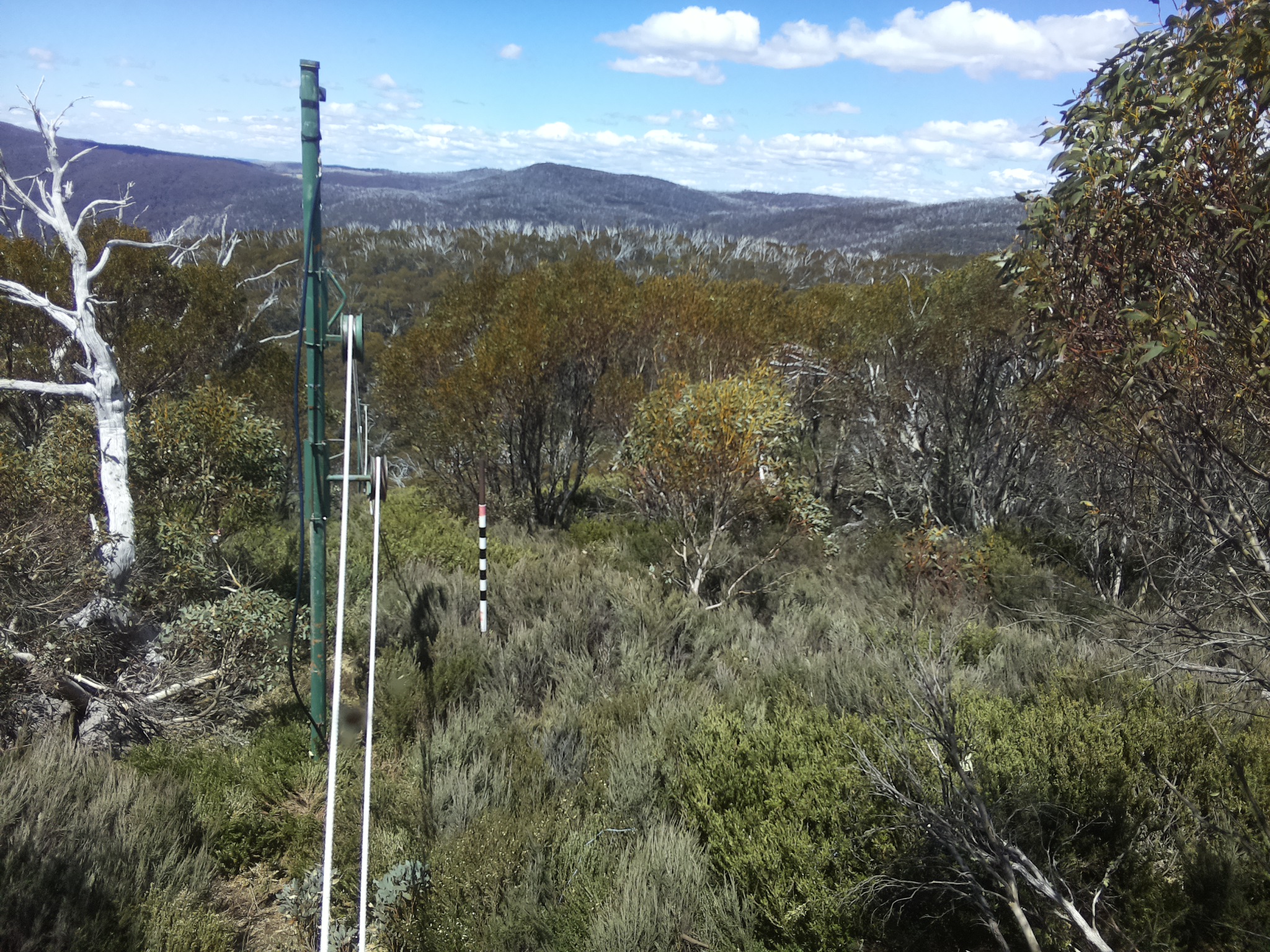 Bogong Web Cam 1:00pm Wednesday 29th of October 2025