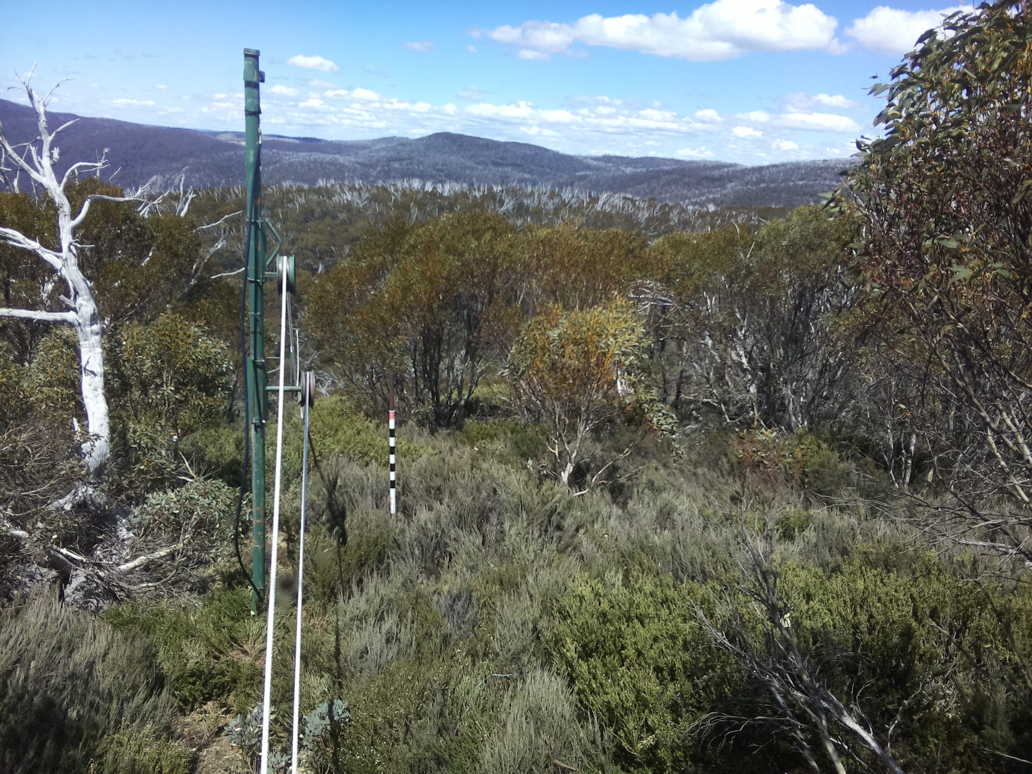 Bogong Web Cam 1:10pm Wednesday 29th of October 2025