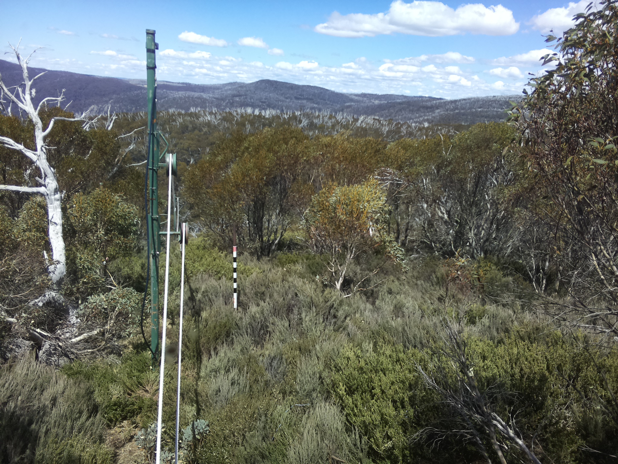 Bogong Web Cam 1:20pm Wednesday 29th of October 2025