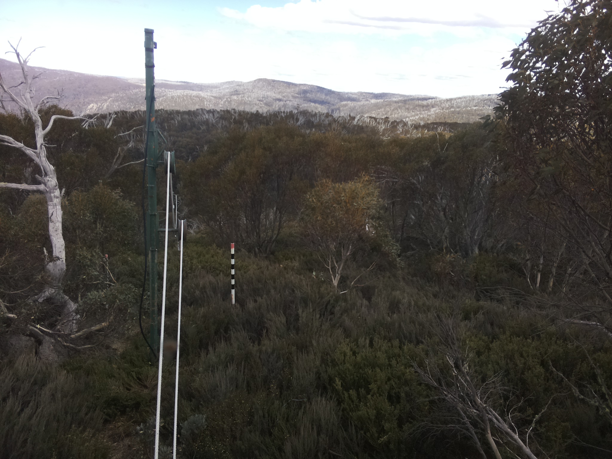 Bogong Web Cam 2:30pm Wednesday 29th of October 2025