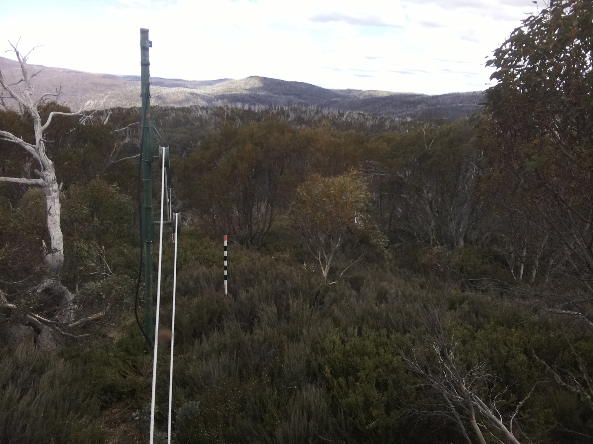 Bogong Web Cam 2:50pm Wednesday 29th of October 2025