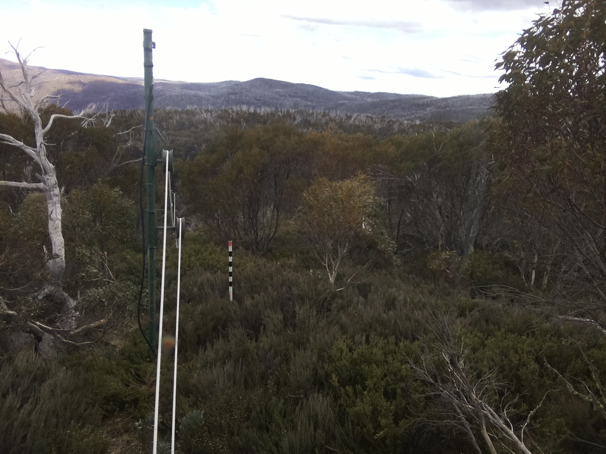 Bogong Web Cam 3:00pm Wednesday 29th of October 2025