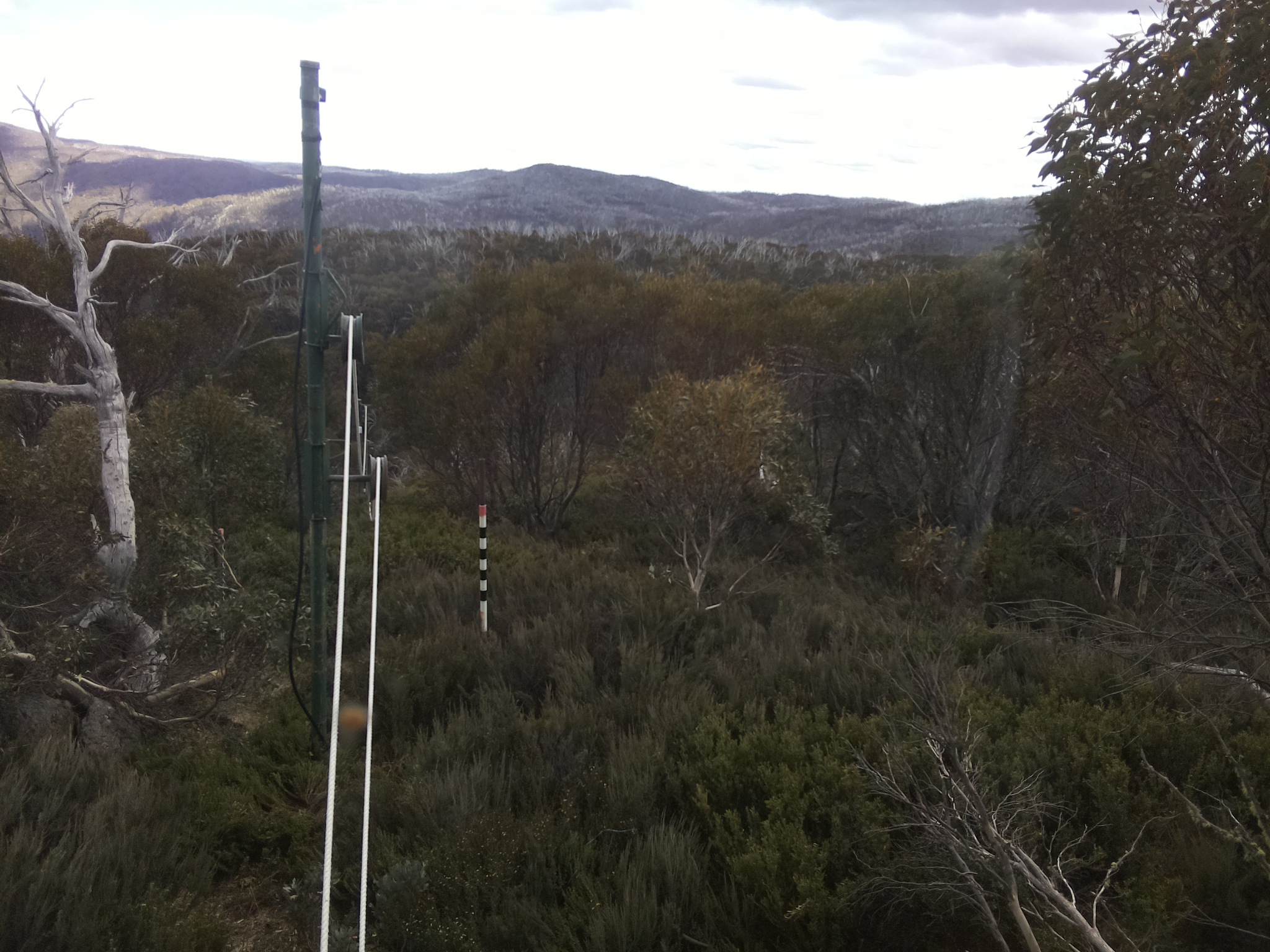 Bogong Web Cam 3:10pm Wednesday 29th of October 2025