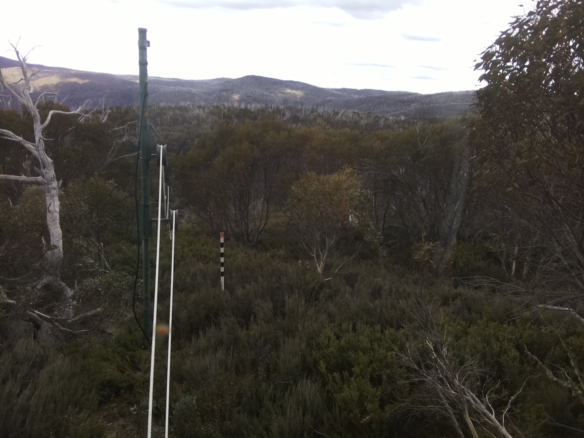 Bogong Web Cam 3:20pm Wednesday 29th of October 2025