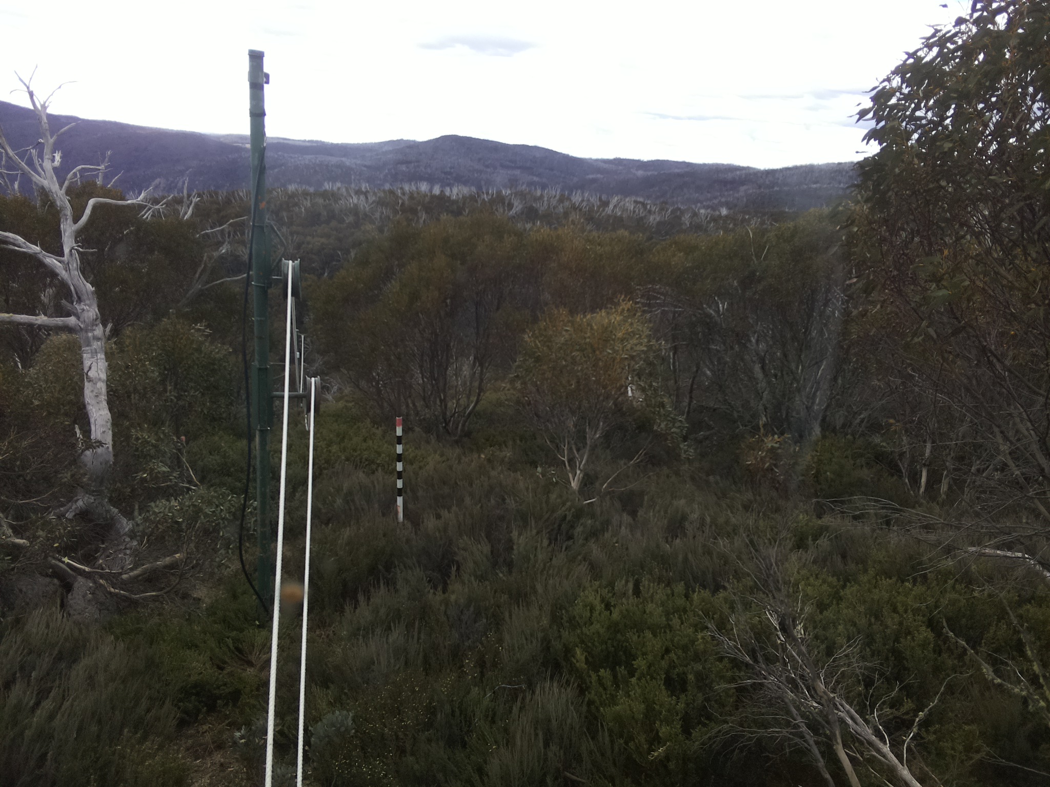 Bogong Web Cam 3:30pm Wednesday 29th of October 2025