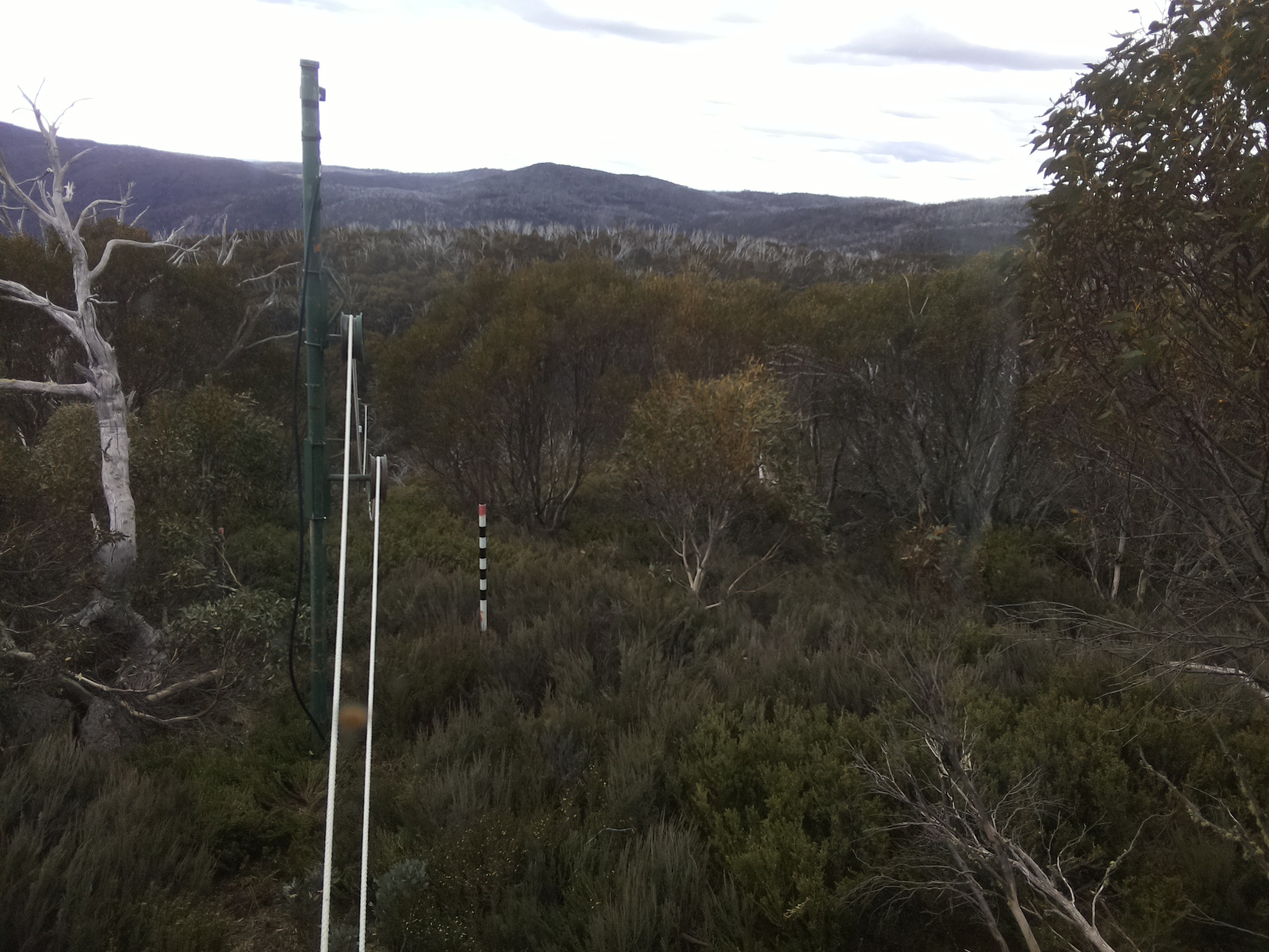 Bogong Web Cam 3:50pm Wednesday 29th of October 2025