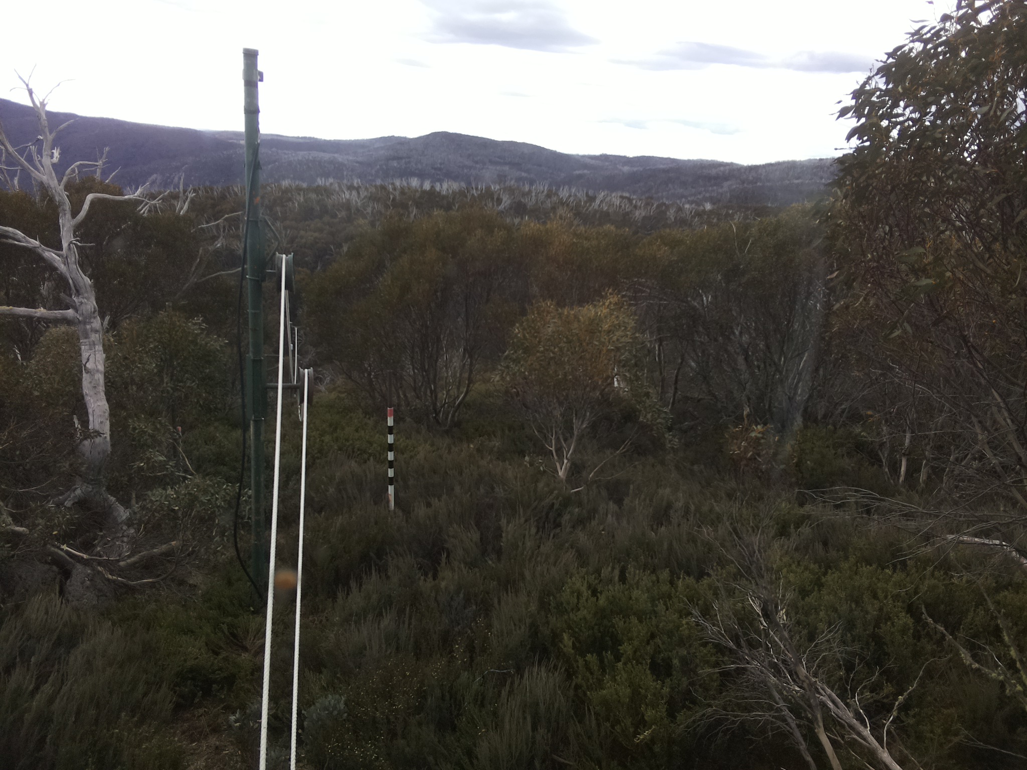 Bogong Web Cam 4:00pm Wednesday 29th of October 2025