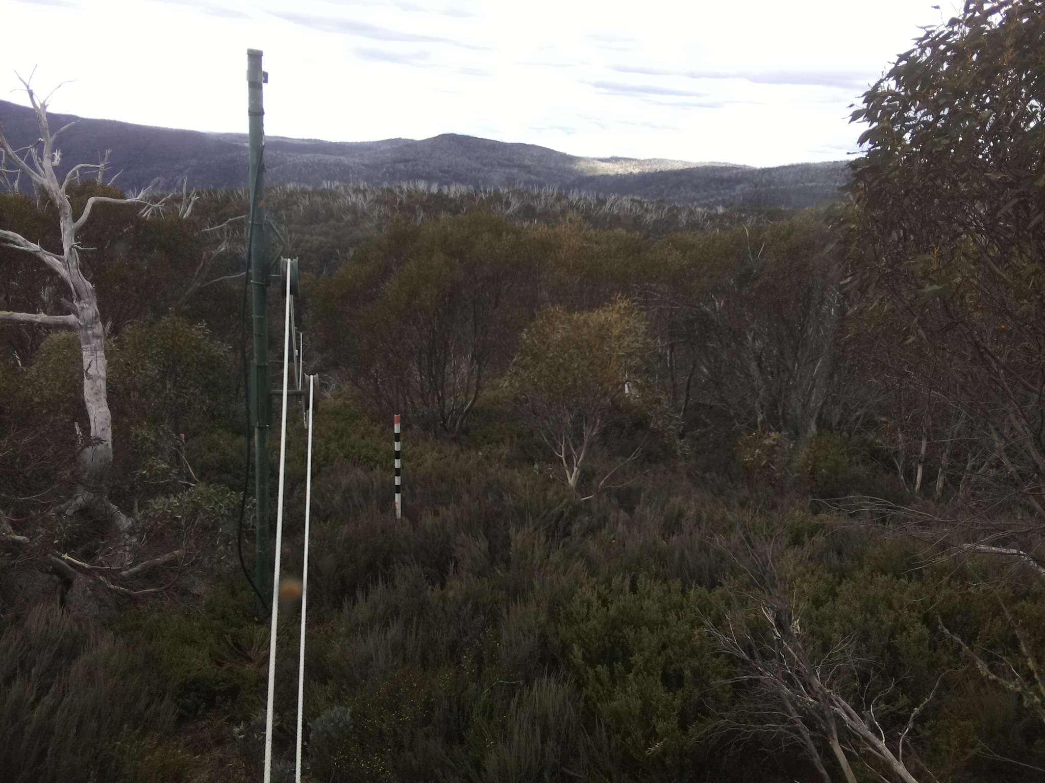 Bogong Web Cam 4:10pm Wednesday 29th of October 2025
