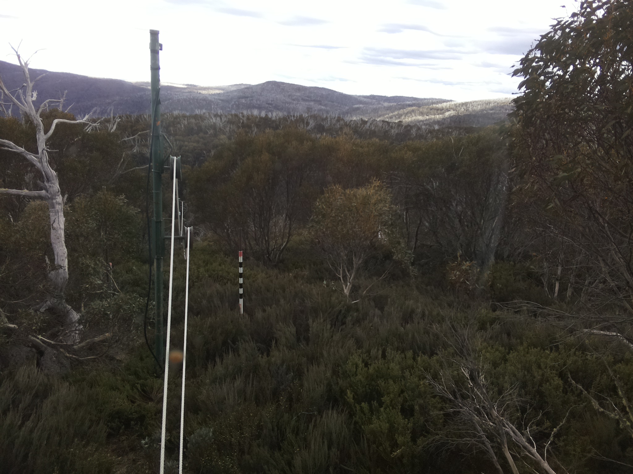 Bogong Web Cam 4:20pm Wednesday 29th of October 2025