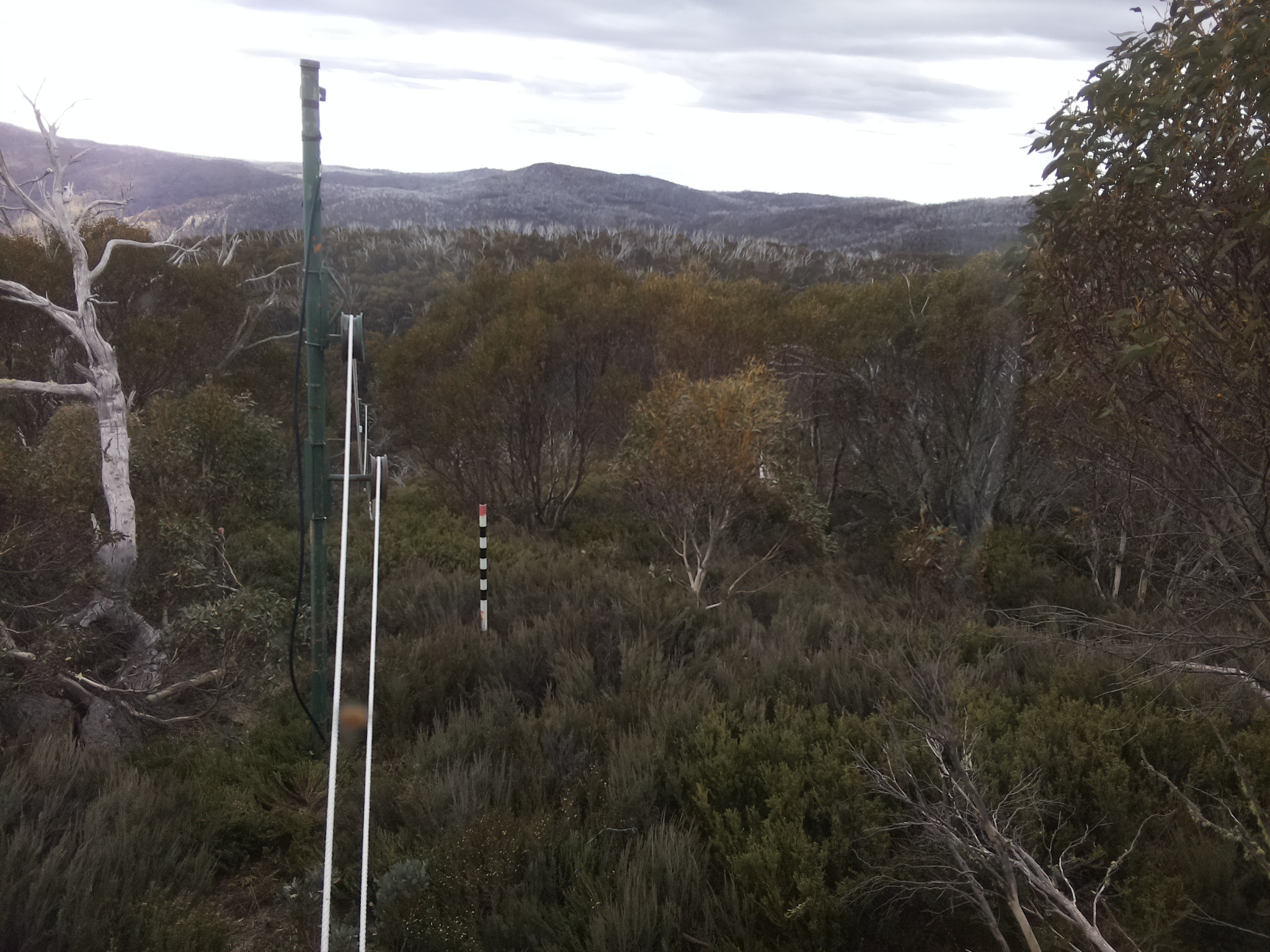Bogong Web Cam 4:50pm Wednesday 29th of October 2025