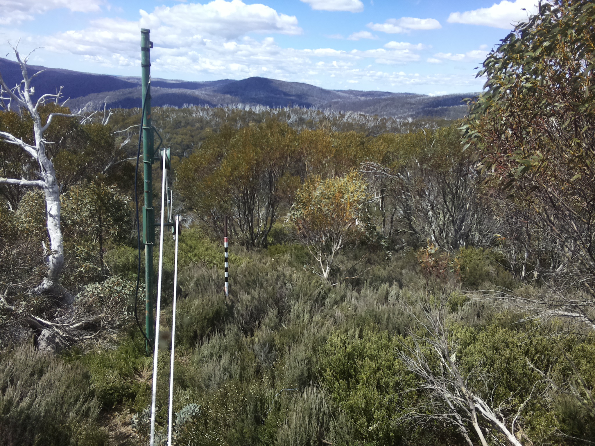Bogong Web Cam 11:20am Thursday 30th of October 2025