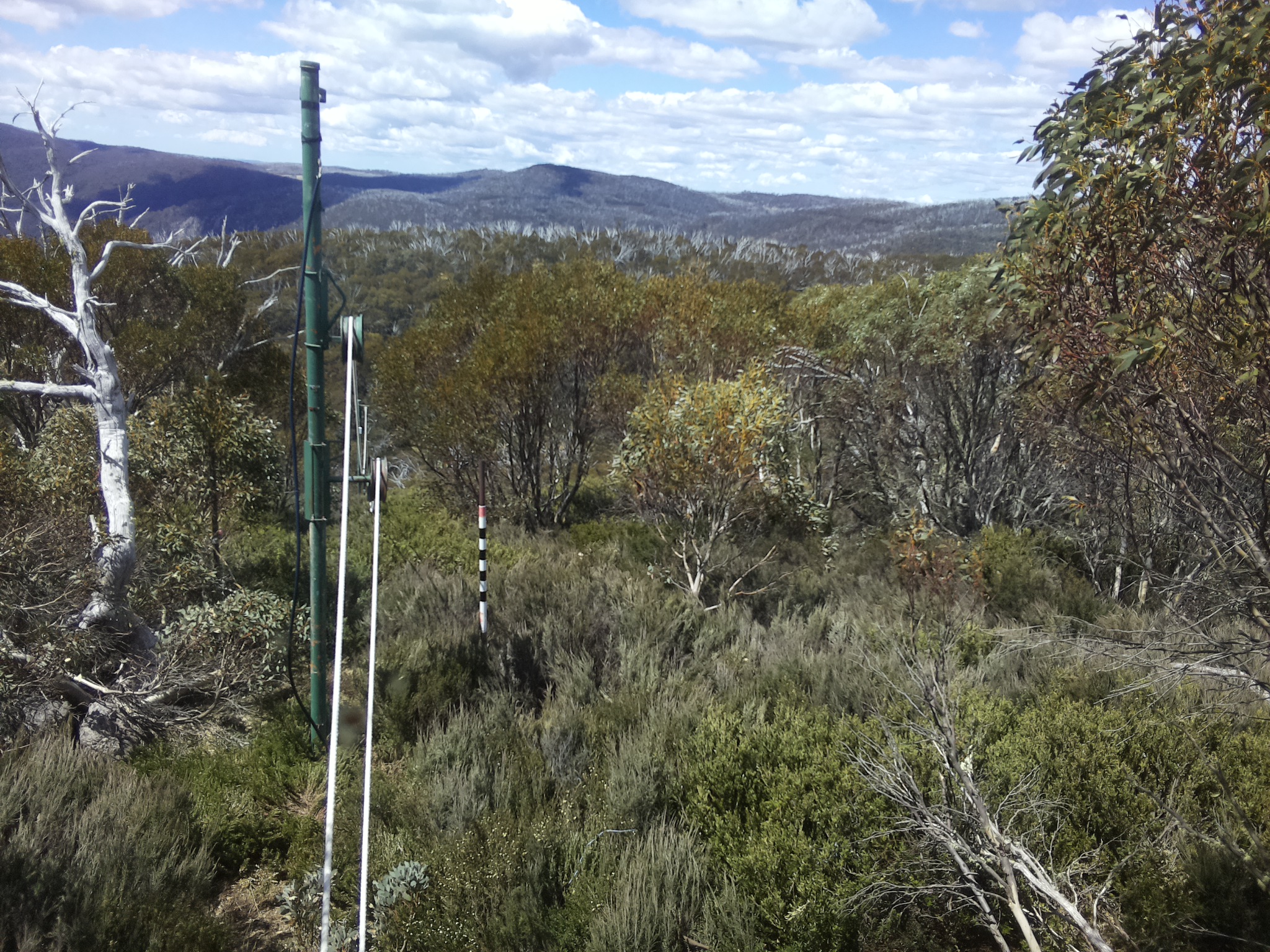 Bogong Web Cam 11:50am Thursday 30th of October 2025