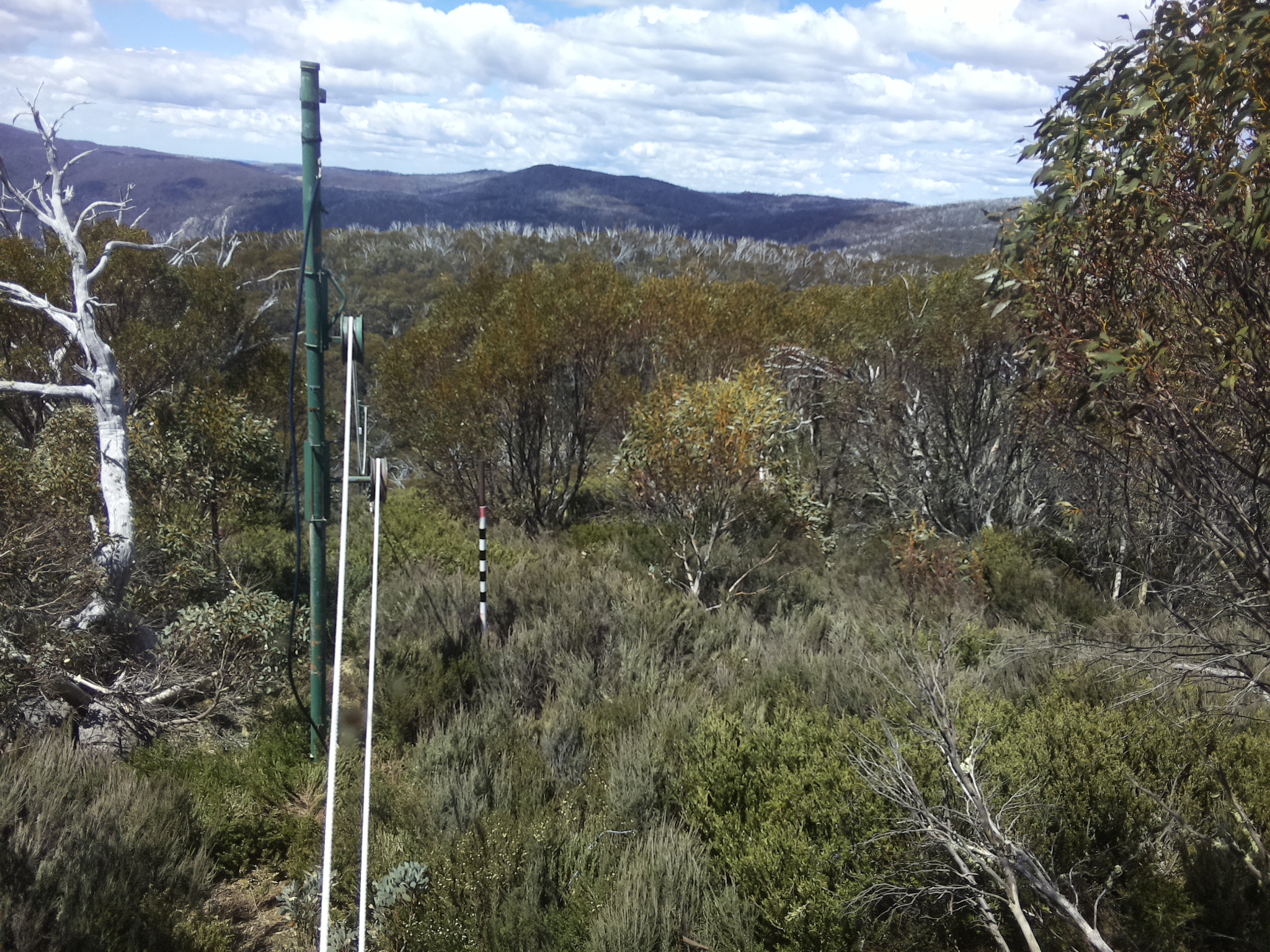Bogong Web Cam 12:20pm Thursday 30th of October 2025