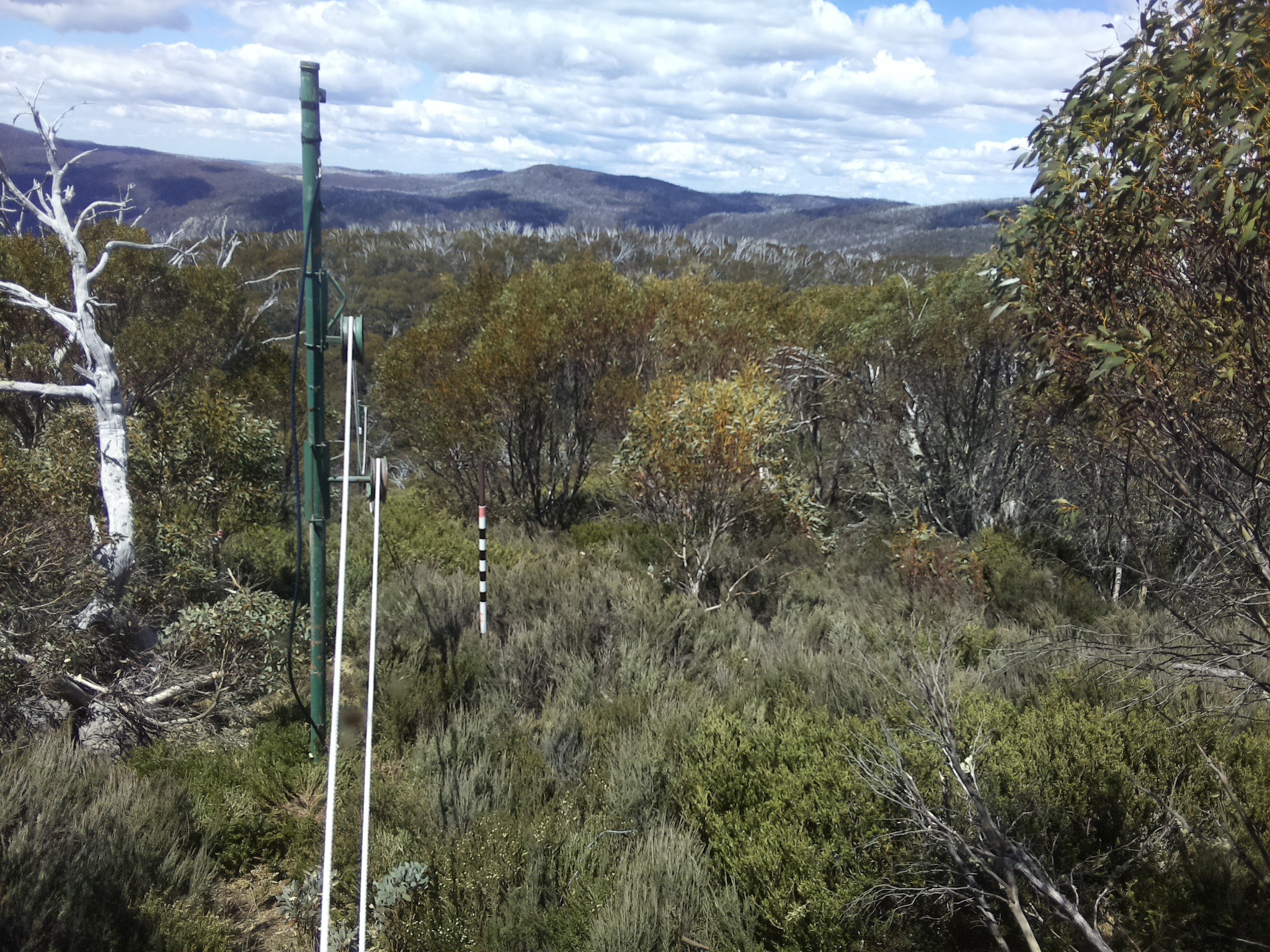 Bogong Web Cam 12:40pm Thursday 30th of October 2025