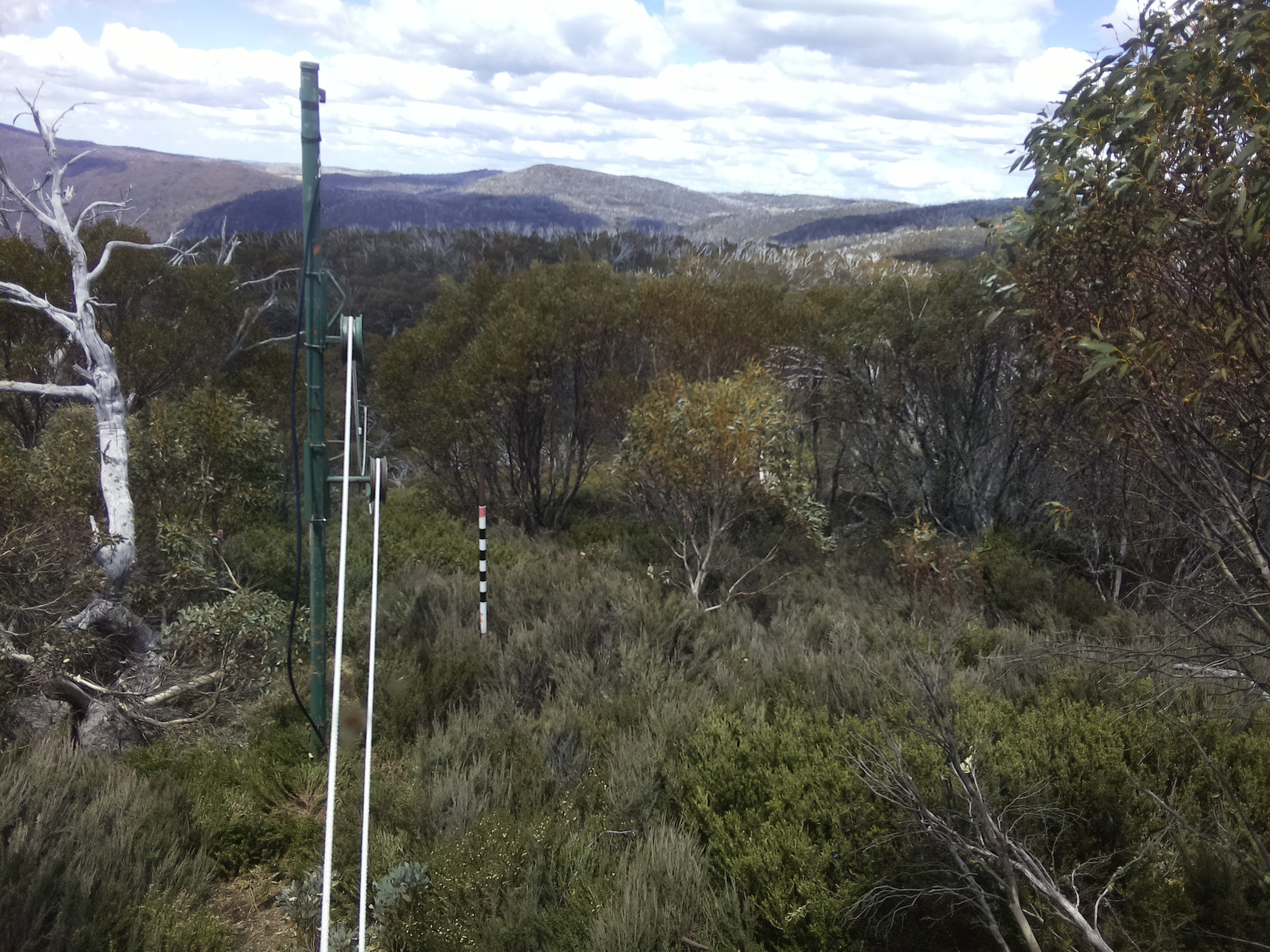 Bogong Web Cam 1:00pm Thursday 30th of October 2025