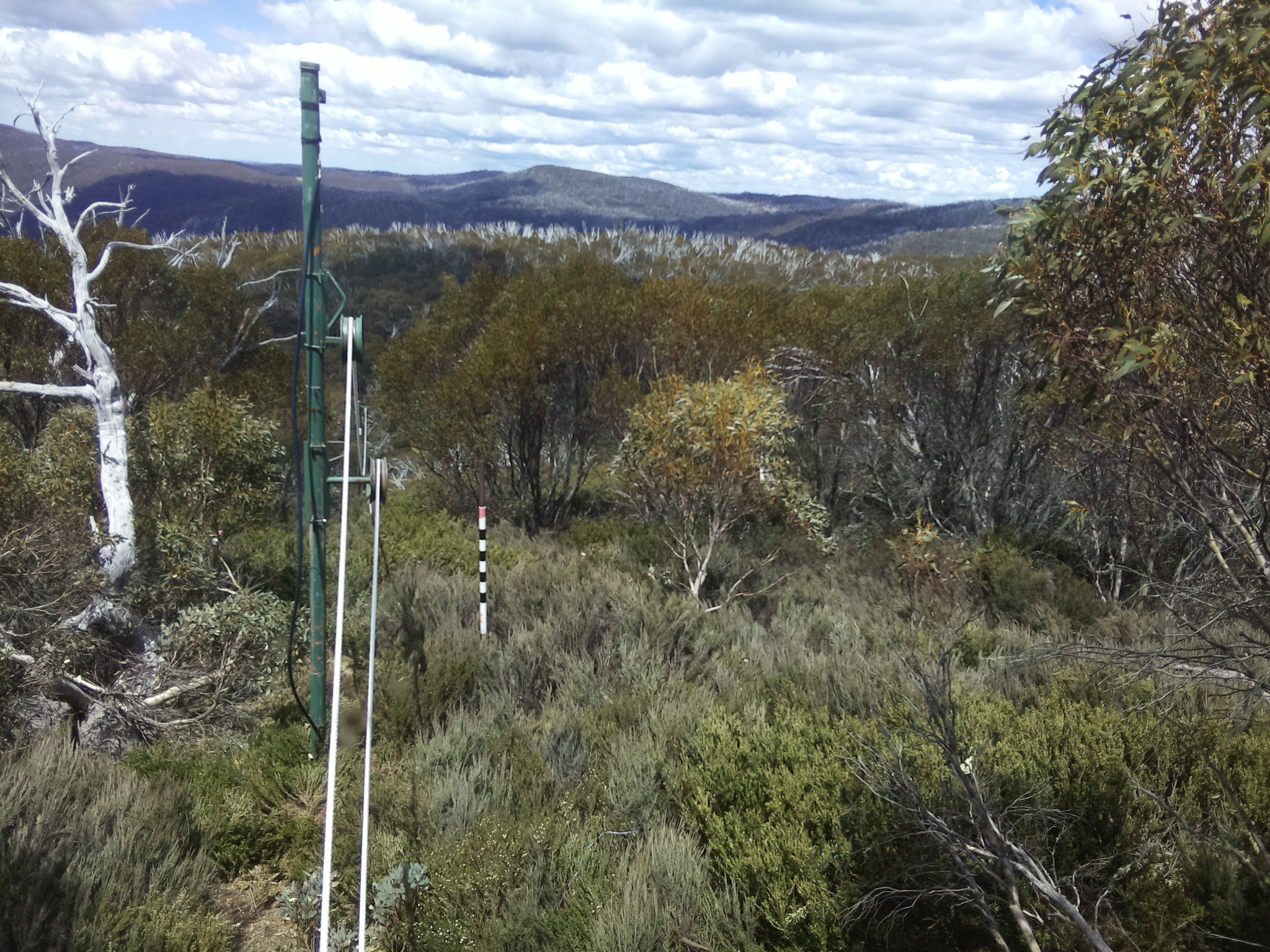 Bogong Web Cam 1:10pm Thursday 30th of October 2025