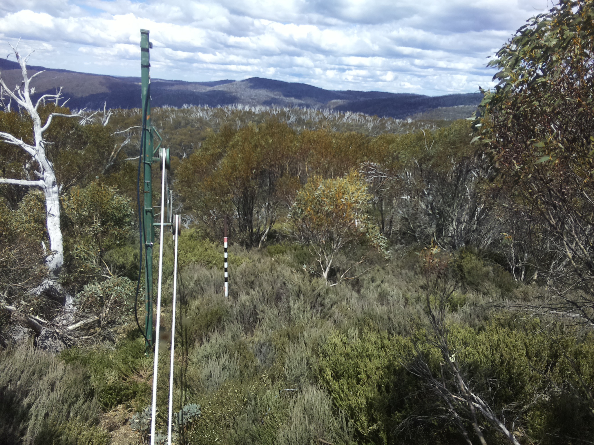 Bogong Web Cam 1:30pm Thursday 30th of October 2025