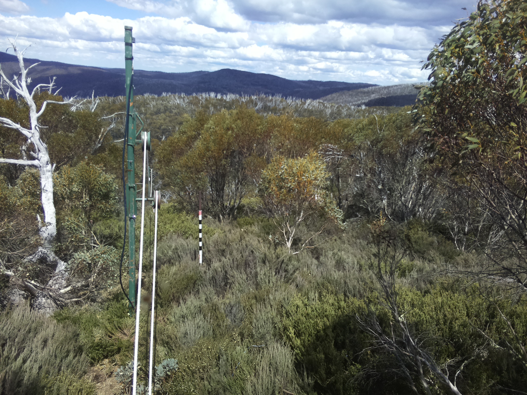 Bogong Web Cam 1:50pm Thursday 30th of October 2025