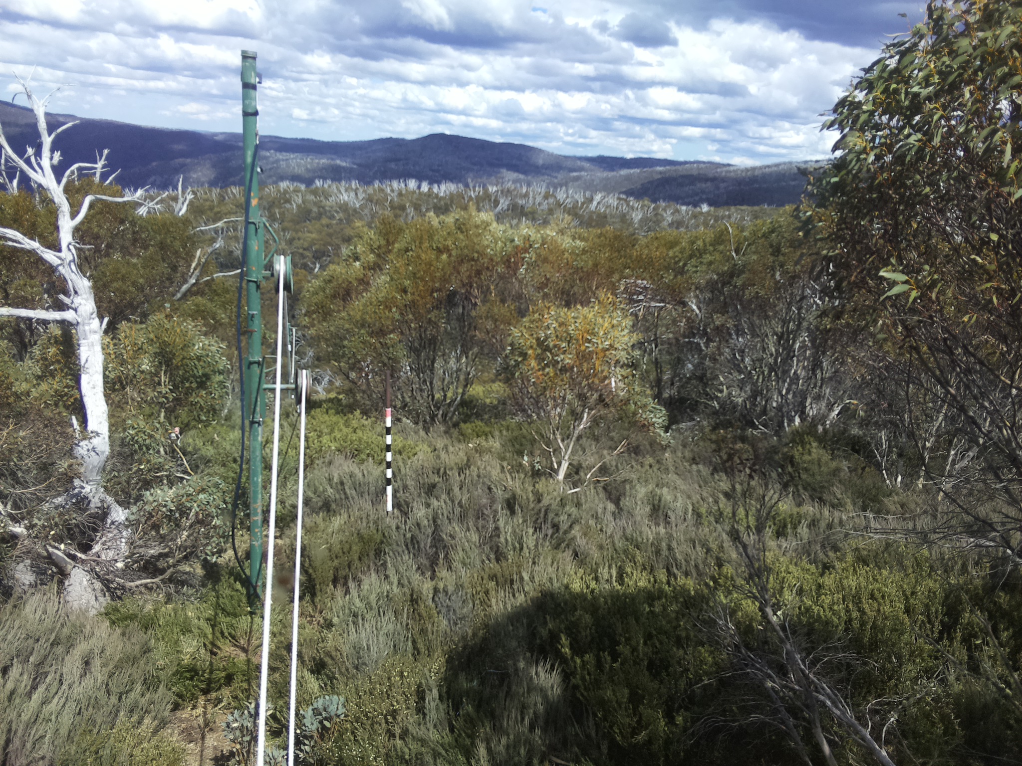 Bogong Web Cam 2:40pm Thursday 30th of October 2025