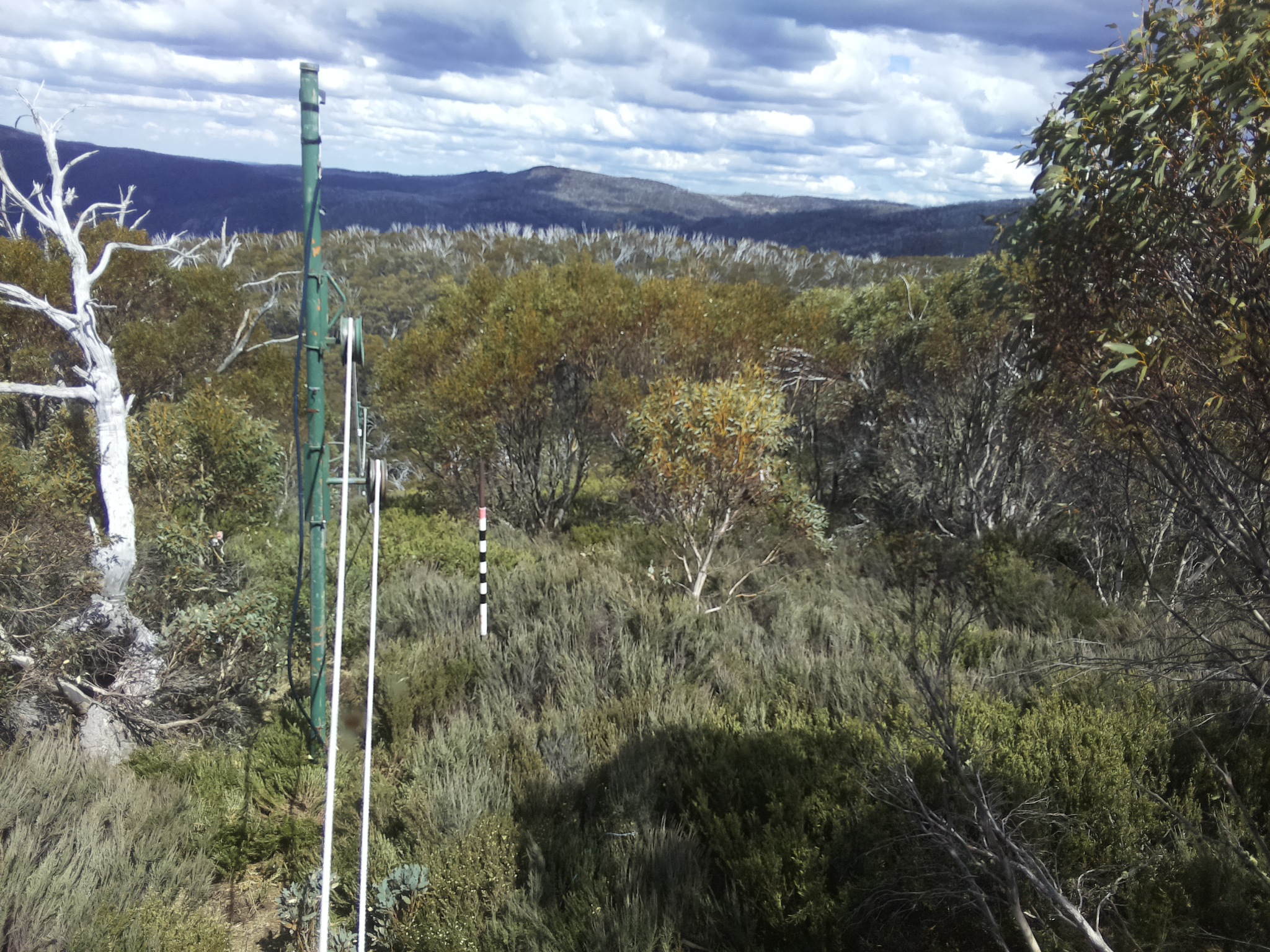 Bogong Web Cam 2:50pm Thursday 30th of October 2025