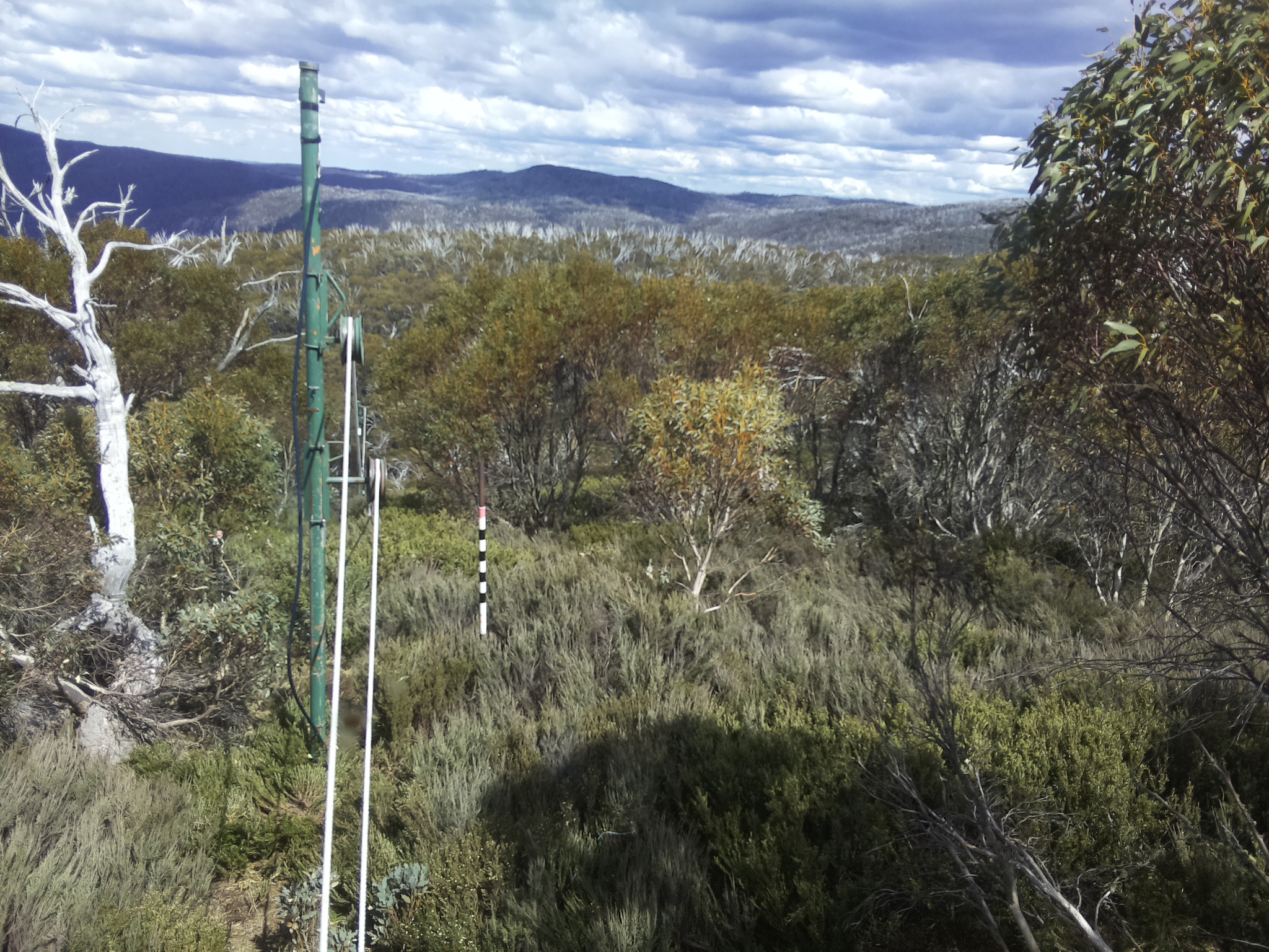 Bogong Web Cam 3:00pm Thursday 30th of October 2025