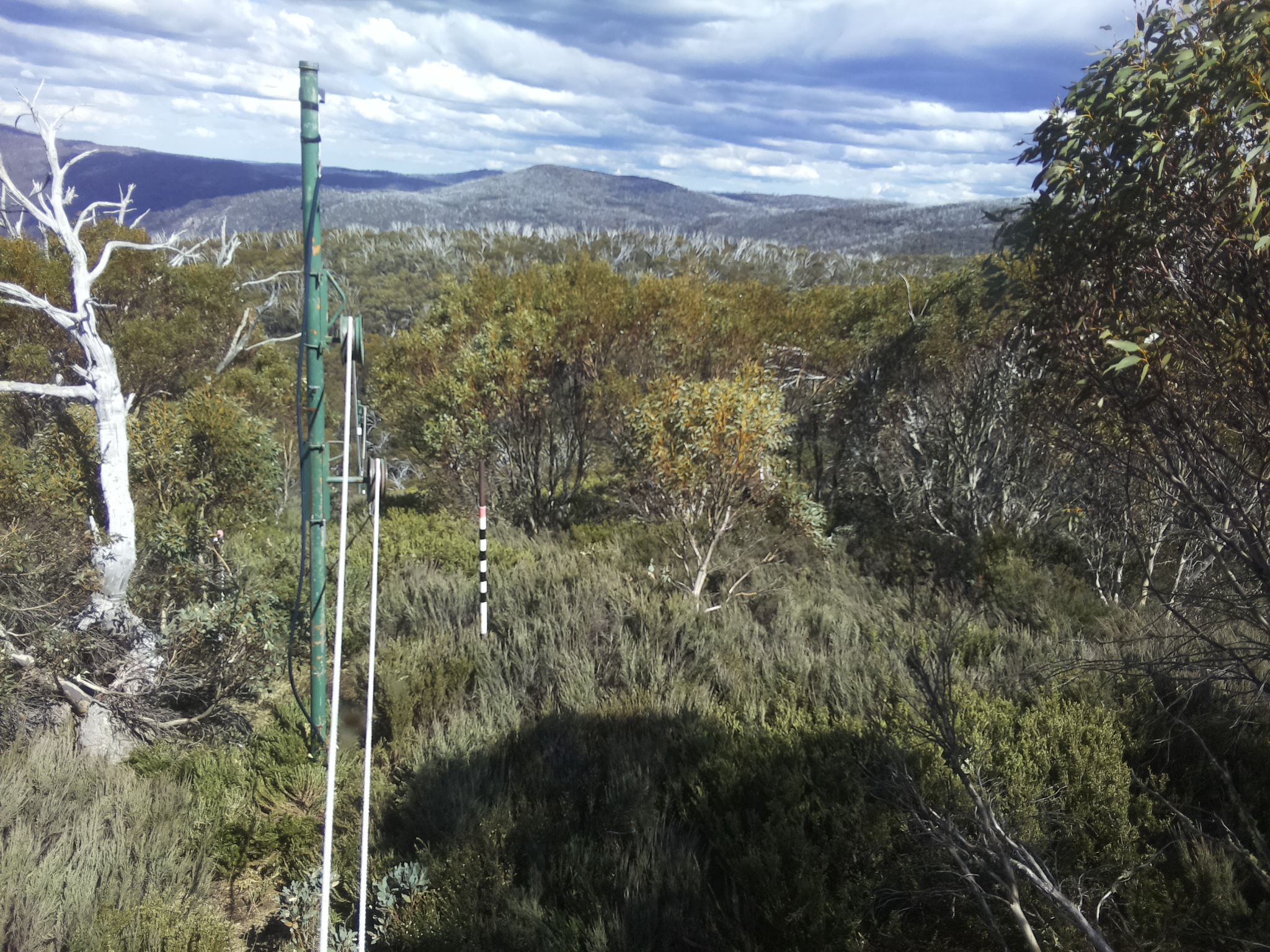 Bogong Web Cam 3:20pm Thursday 30th of October 2025