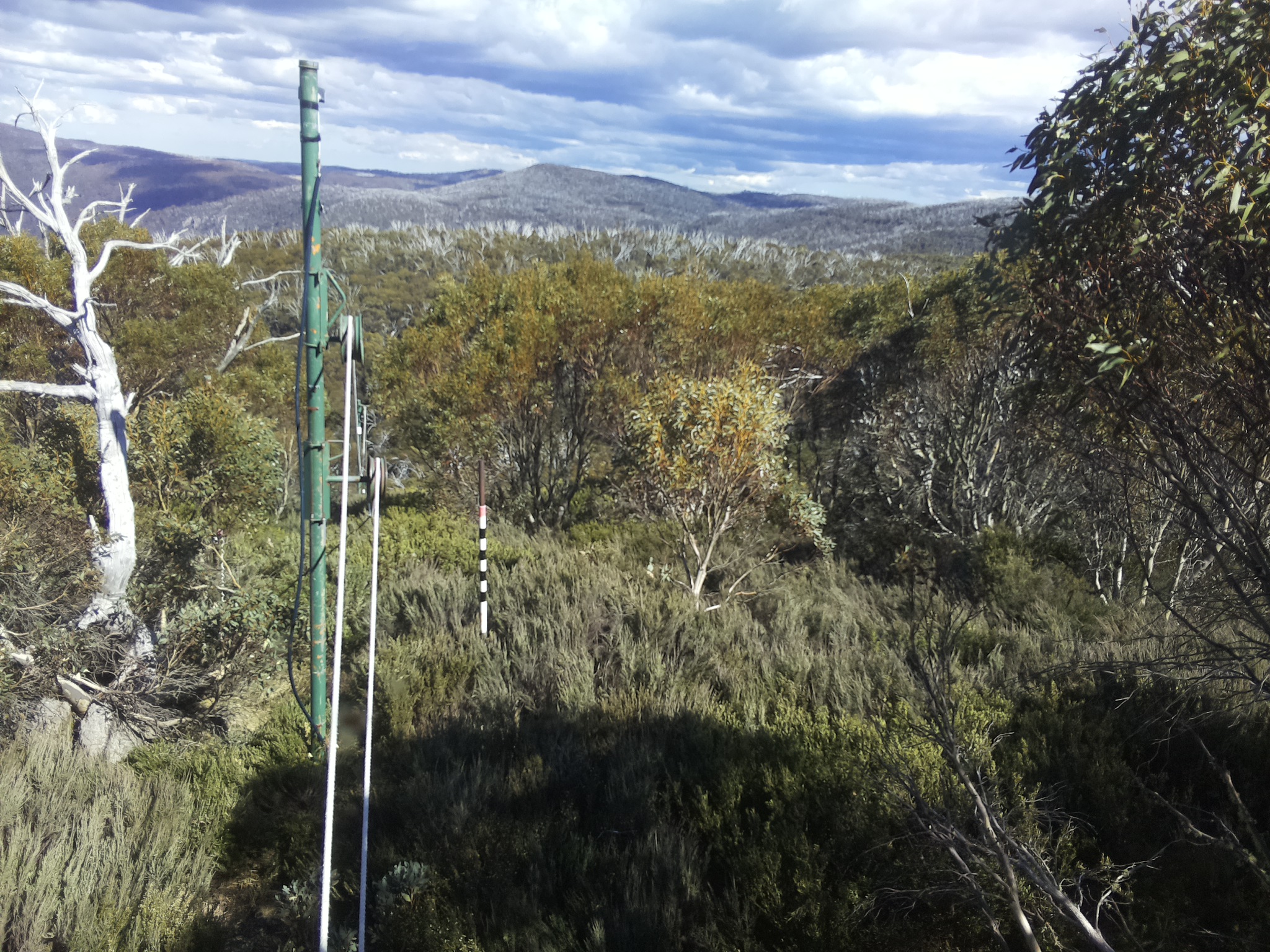 Bogong Web Cam 3:50pm Thursday 30th of October 2025