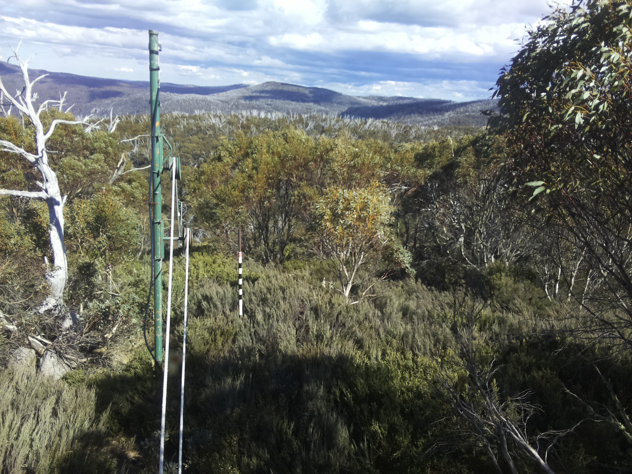 Bogong Web Cam 4:00pm Thursday 30th of October 2025
