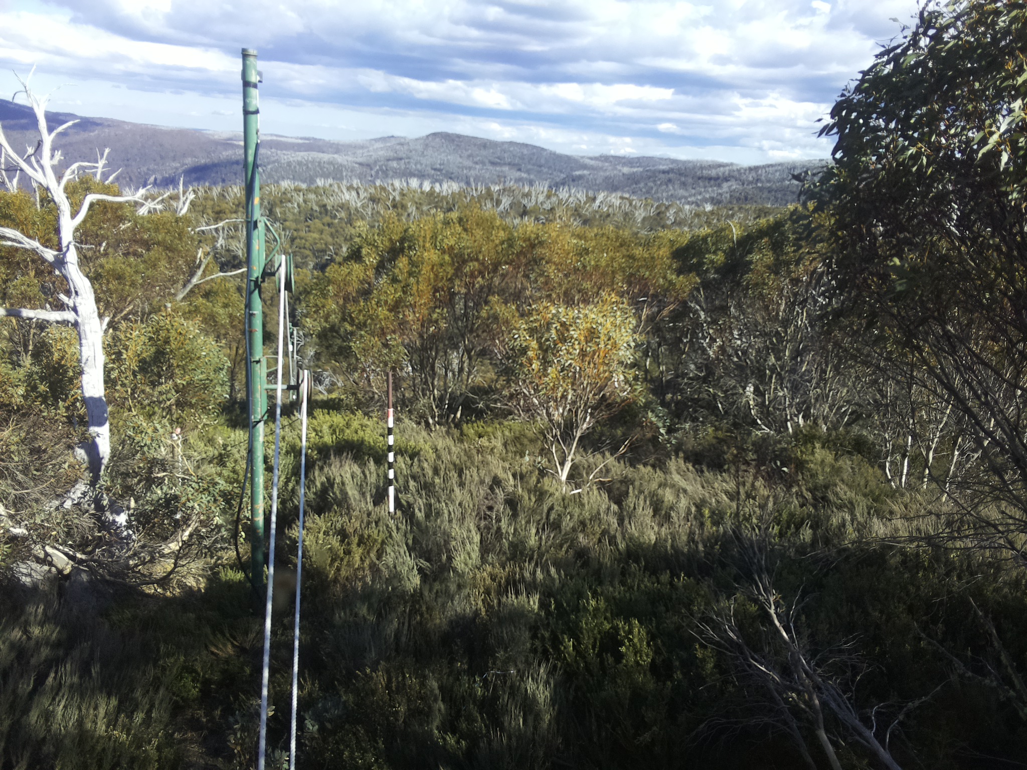 Bogong Web Cam 4:40pm Thursday 30th of October 2025