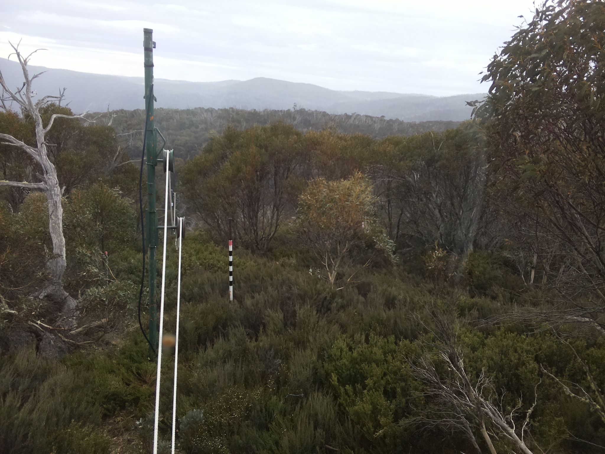 Bogong Web Cam 8:10am Friday 31st of October 2025