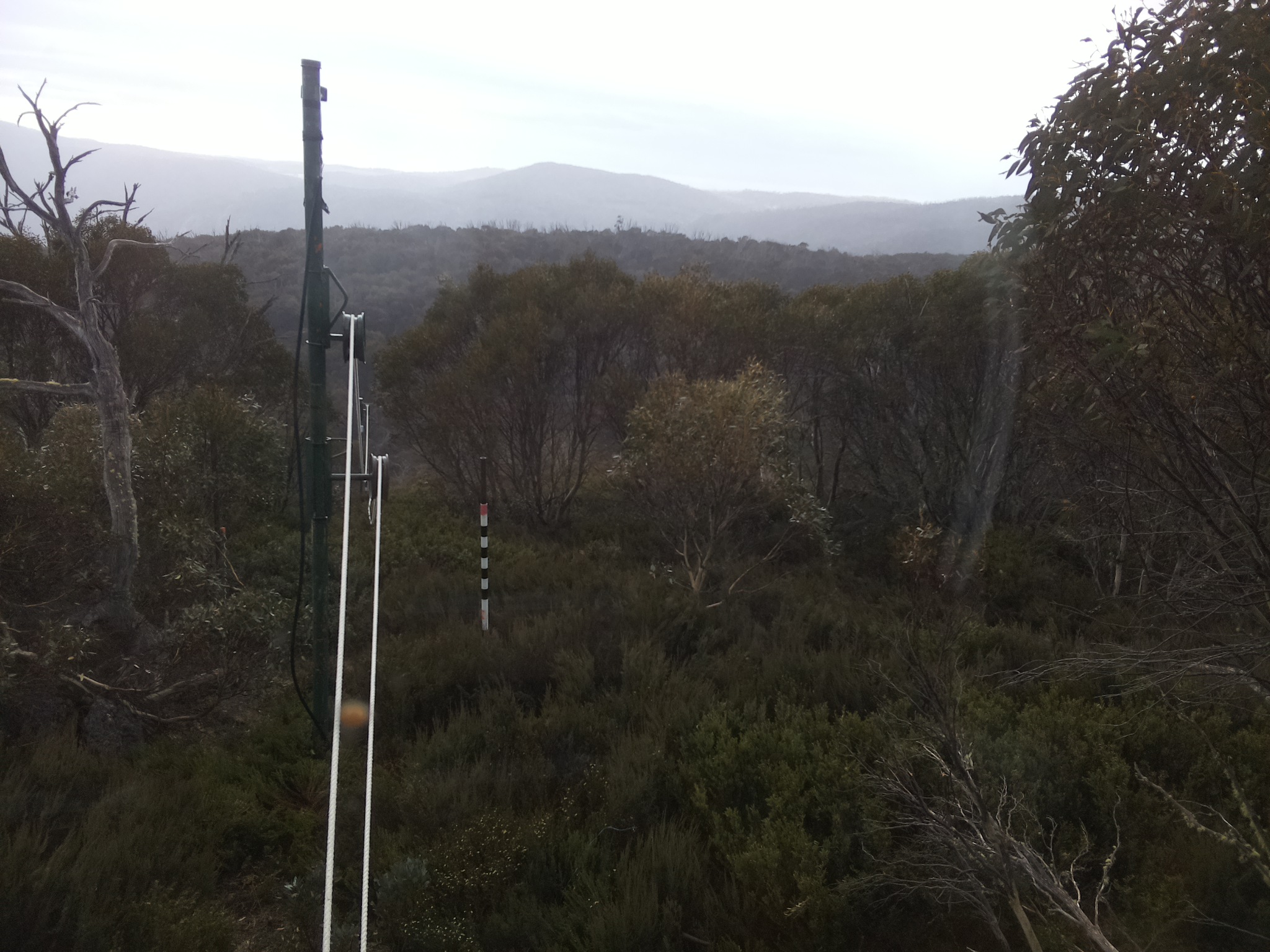 Bogong Web Cam 8:40am Friday 31st of October 2025