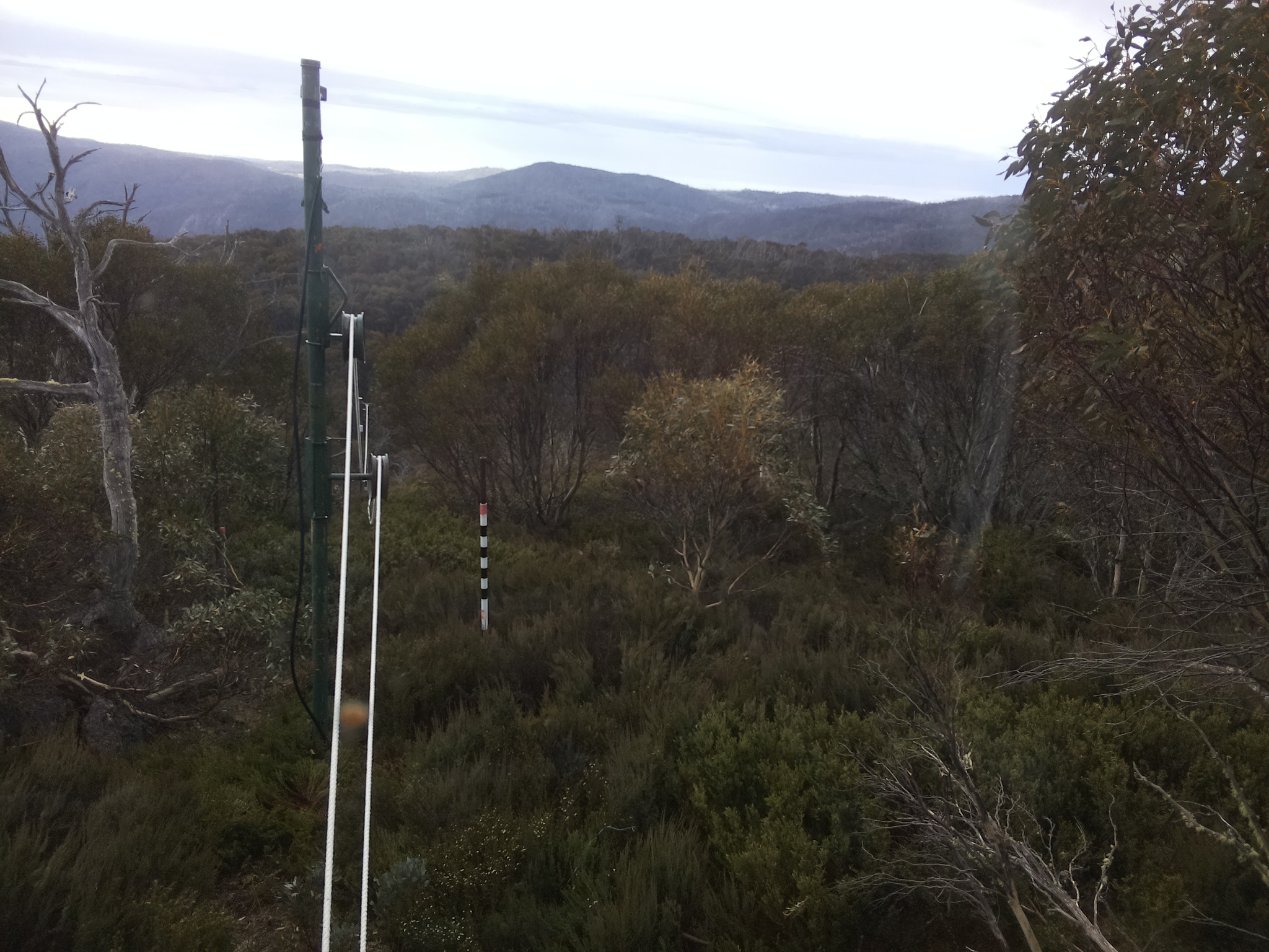 Bogong Web Cam 8:50am Friday 31st of October 2025