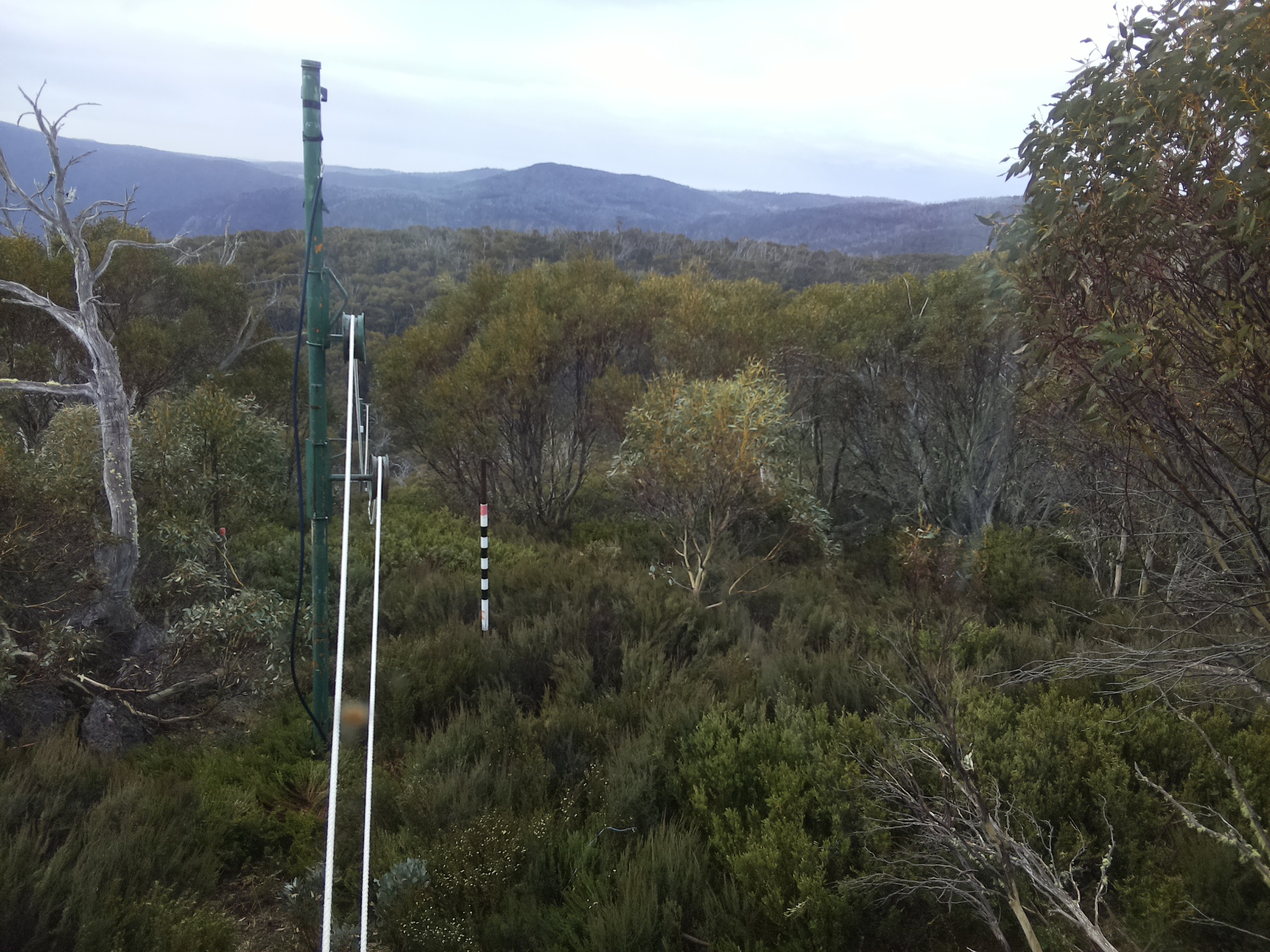 Bogong Web Cam 9:10am Friday 31st of October 2025