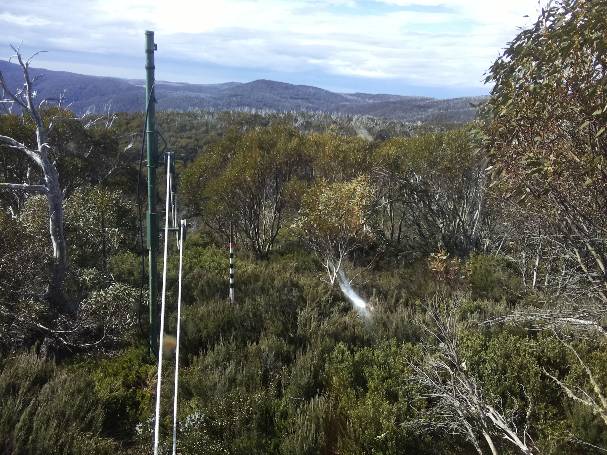 Bogong Web Cam 9:40am Friday 31st of October 2025