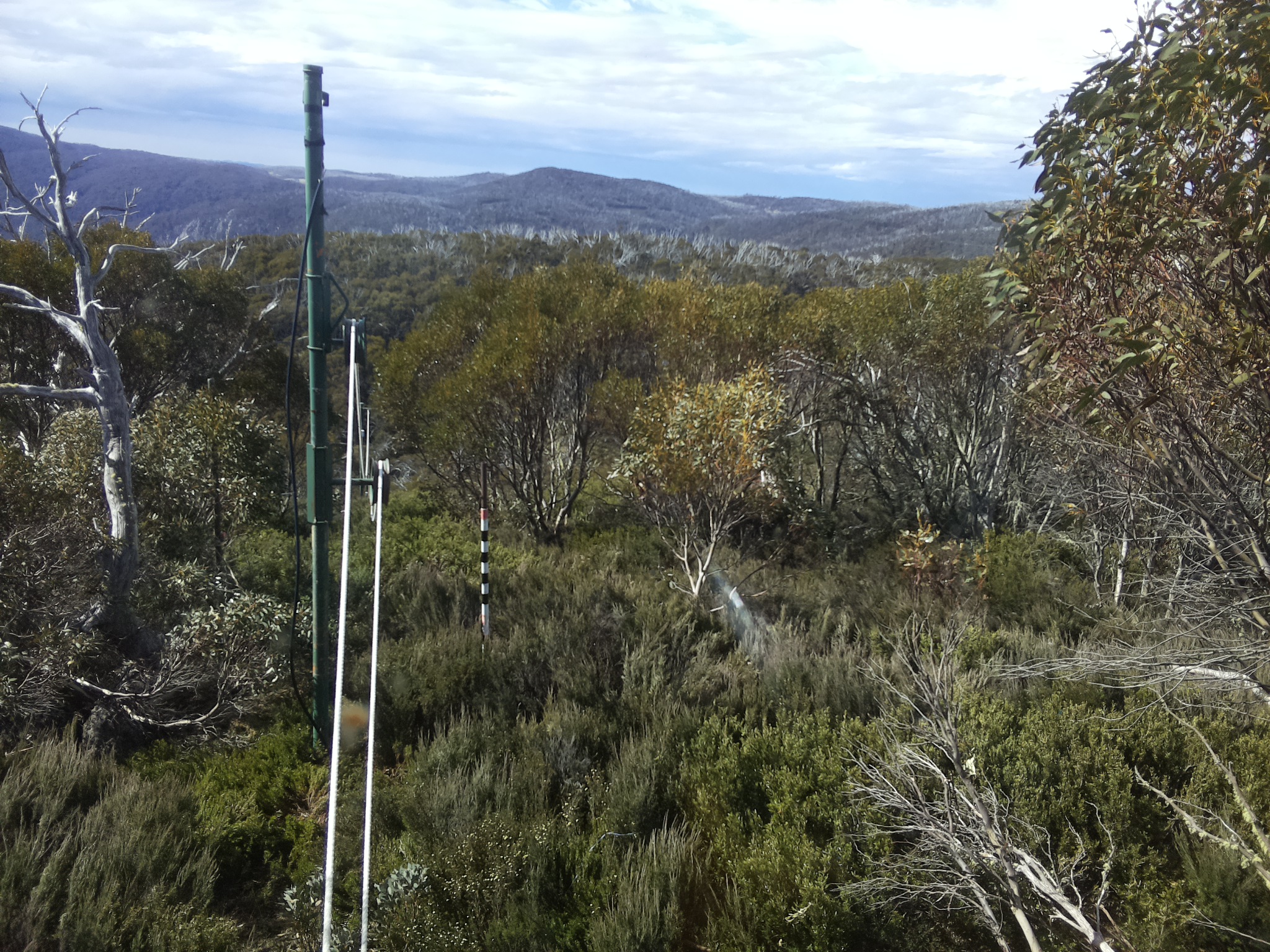 Bogong Web Cam 9:50am Friday 31st of October 2025