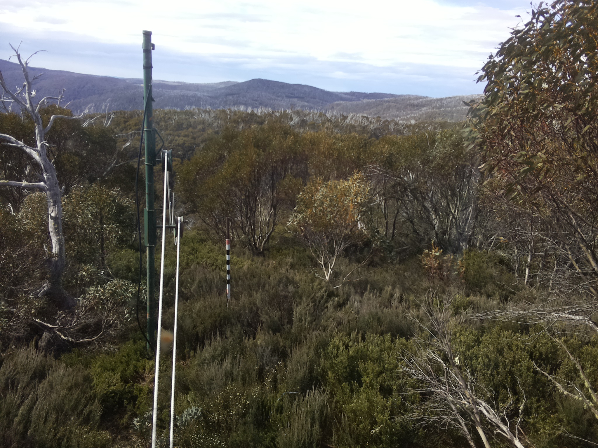 Bogong Web Cam 10:00am Friday 31st of October 2025