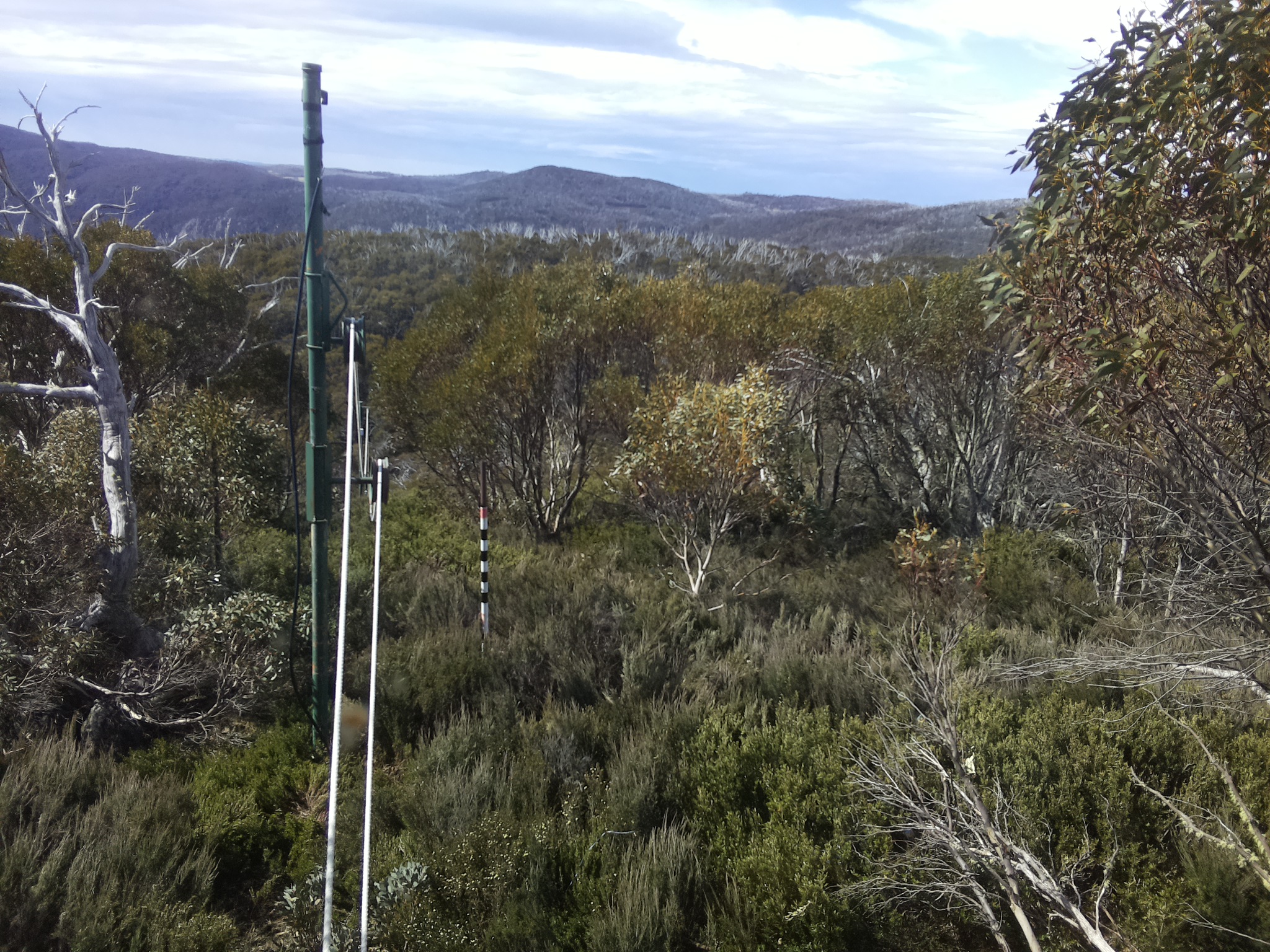Bogong Web Cam 10:10am Friday 31st of October 2025