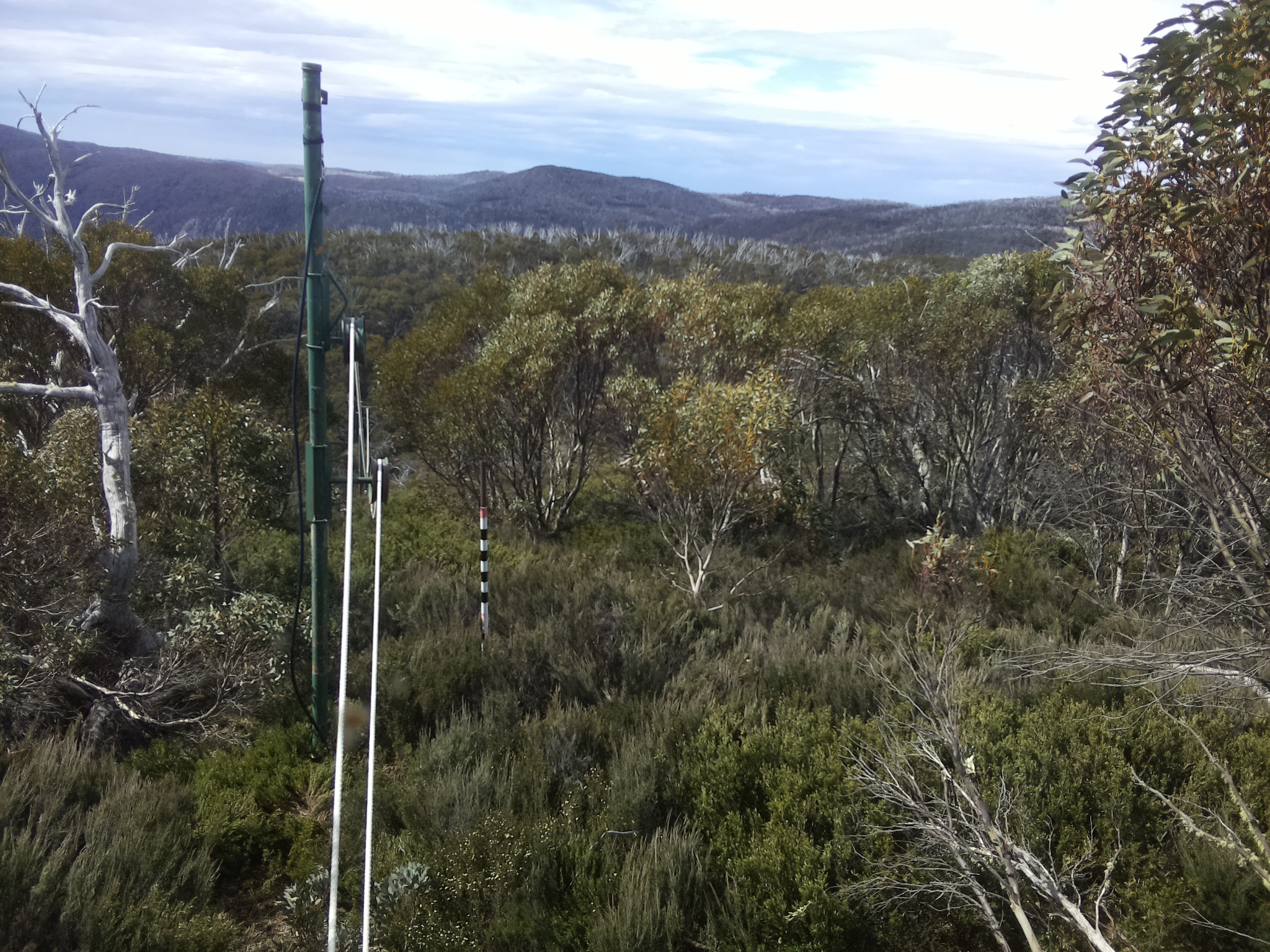 Bogong Web Cam 10:20am Friday 31st of October 2025