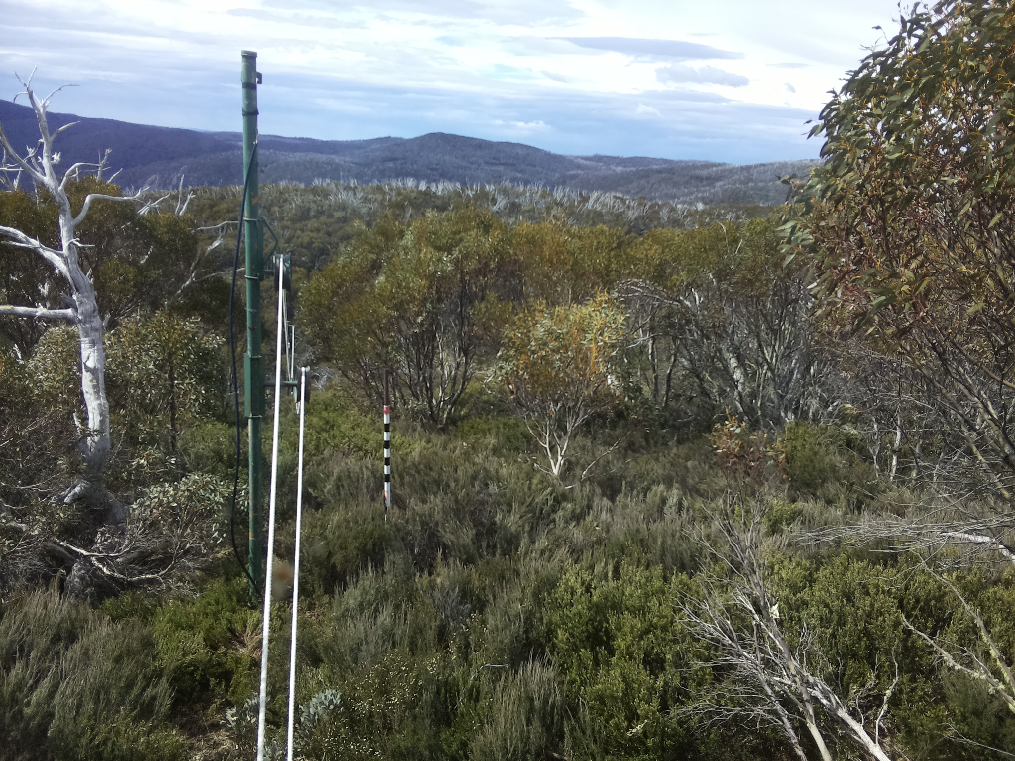 Bogong Web Cam 10:30am Friday 31st of October 2025