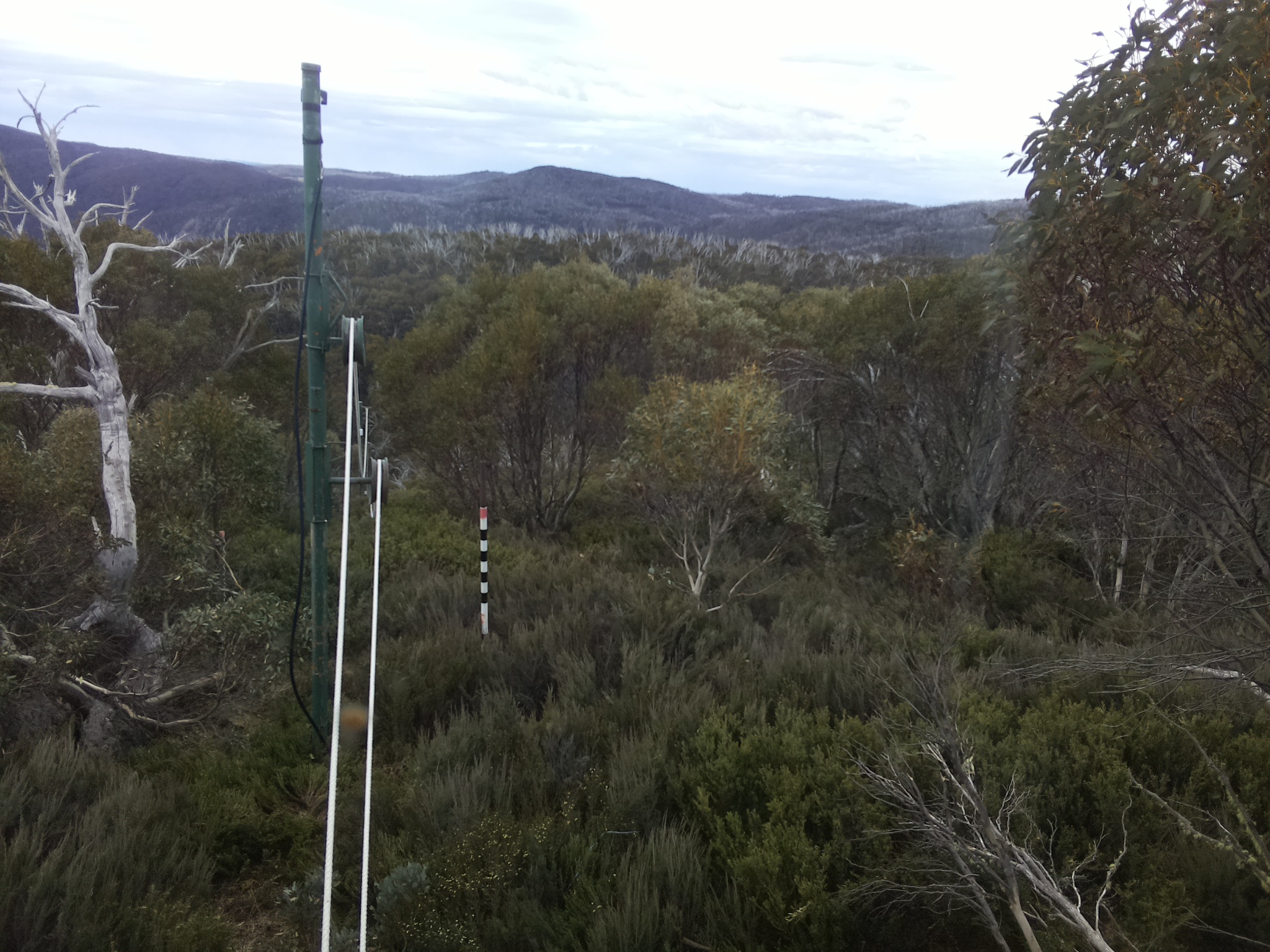 Bogong Web Cam 10:40am Friday 31st of October 2025
