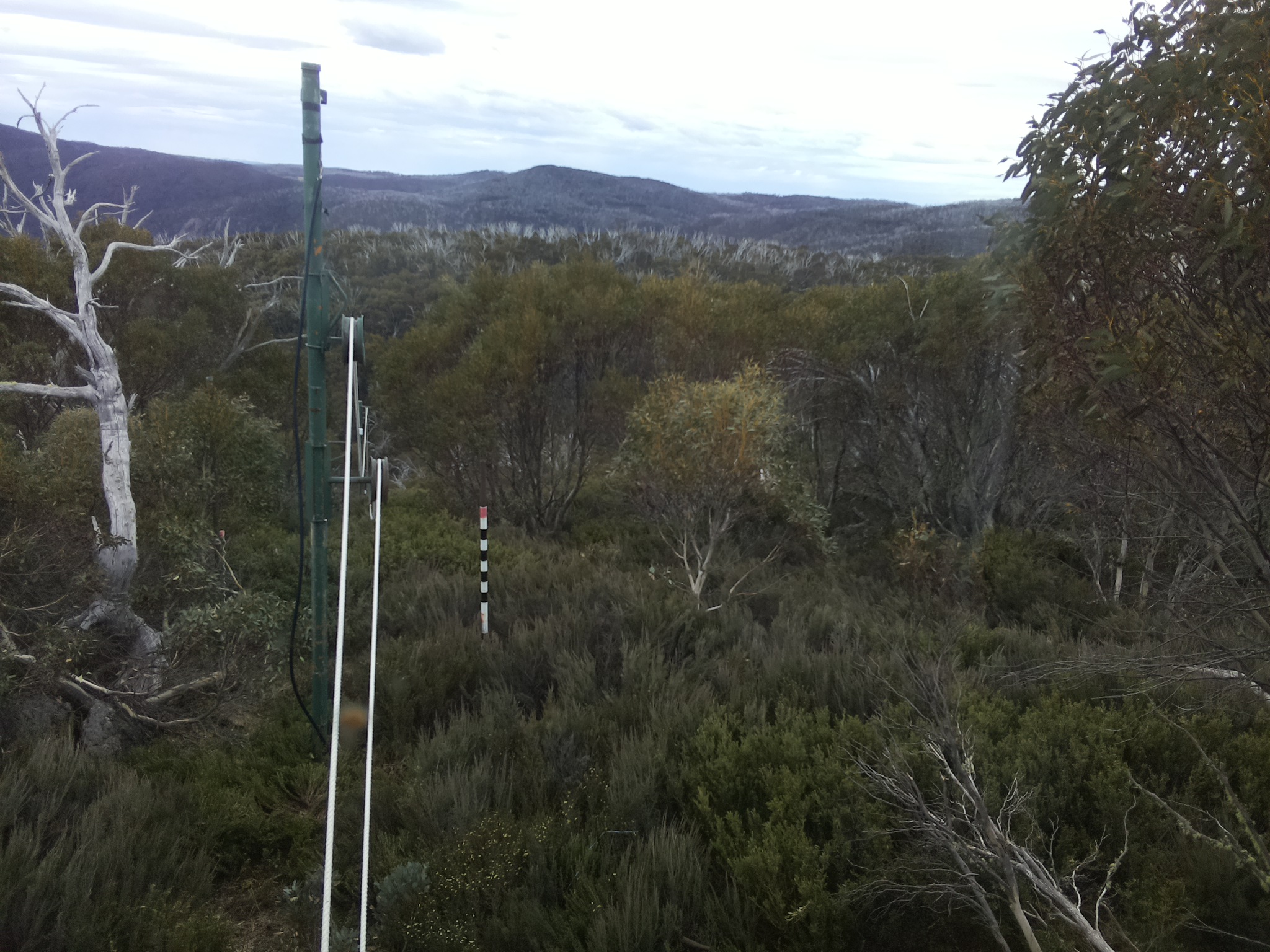 Bogong Web Cam 10:50am Friday 31st of October 2025