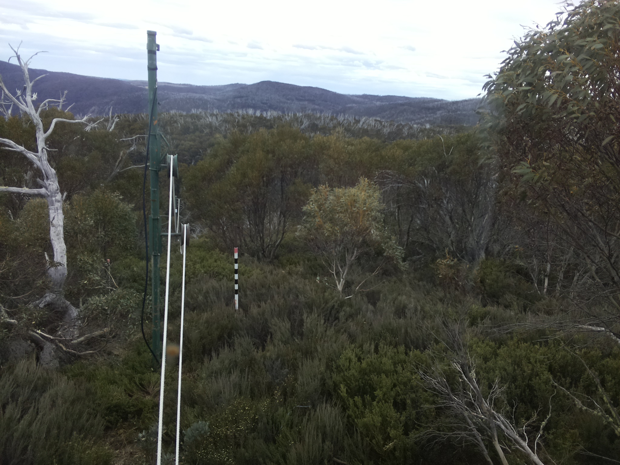 Bogong Web Cam 11:00am Friday 31st of October 2025