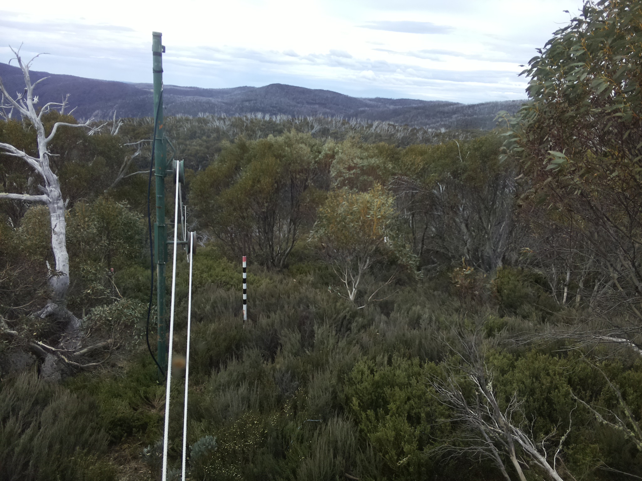 Bogong Web Cam 11:10am Friday 31st of October 2025