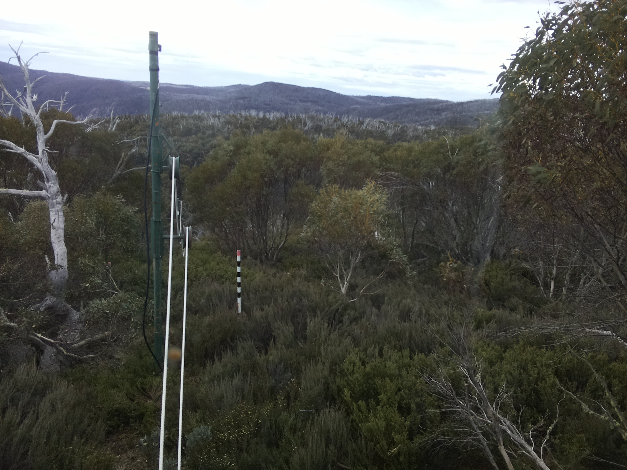 Bogong Web Cam 11:20am Friday 31st of October 2025
