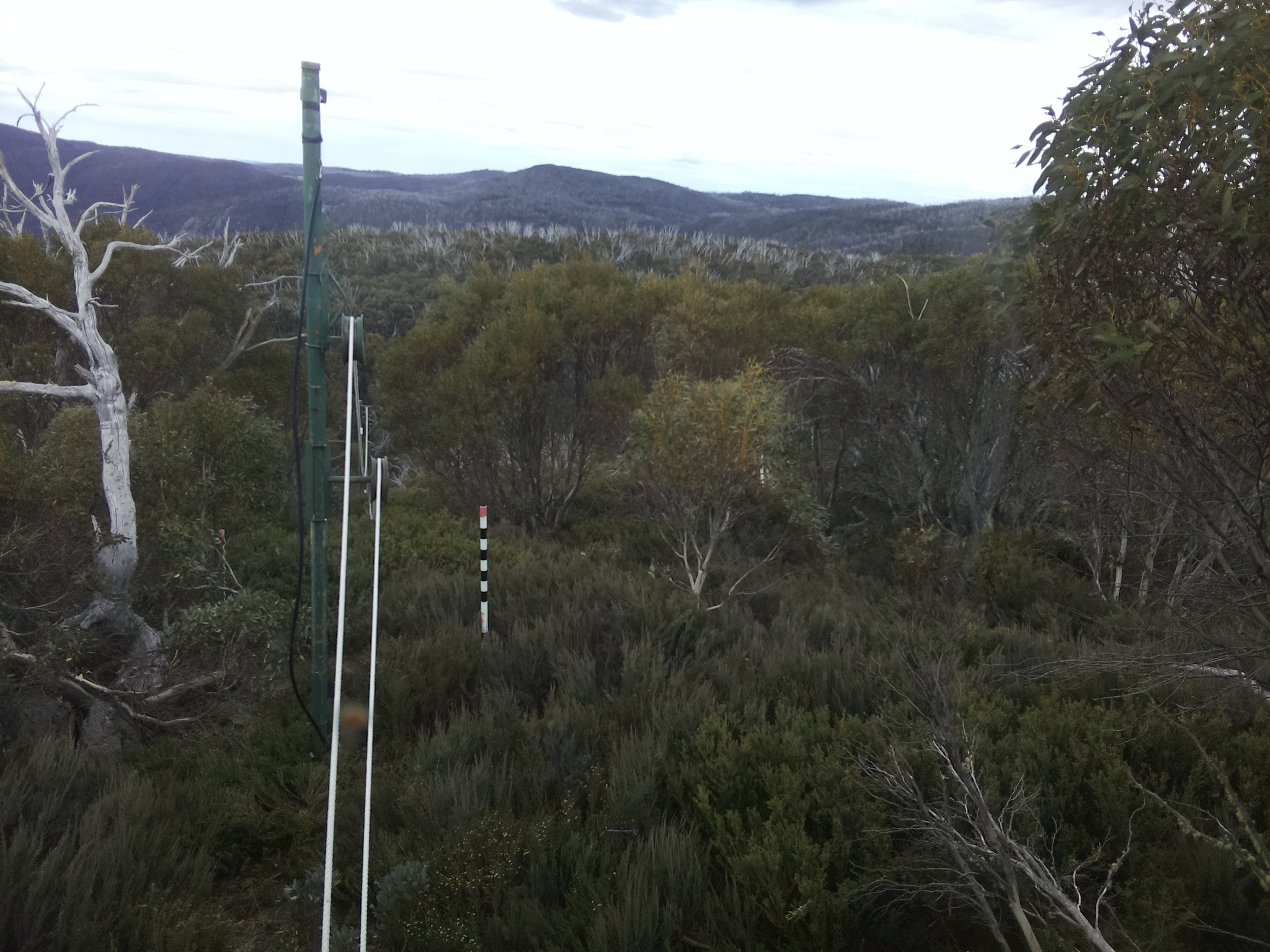 Bogong Web Cam 11:30am Friday 31st of October 2025