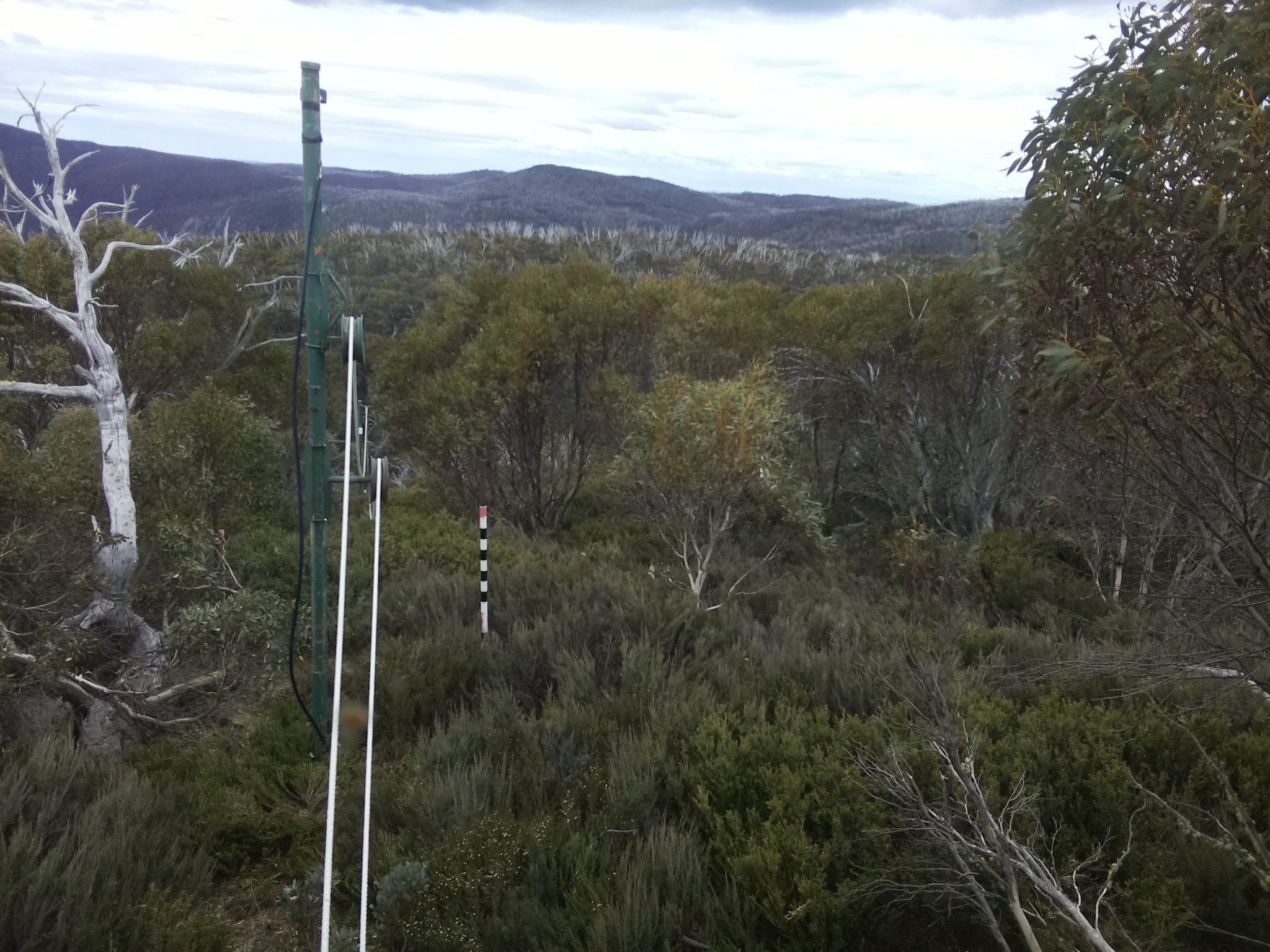 Bogong Web Cam 11:40am Friday 31st of October 2025