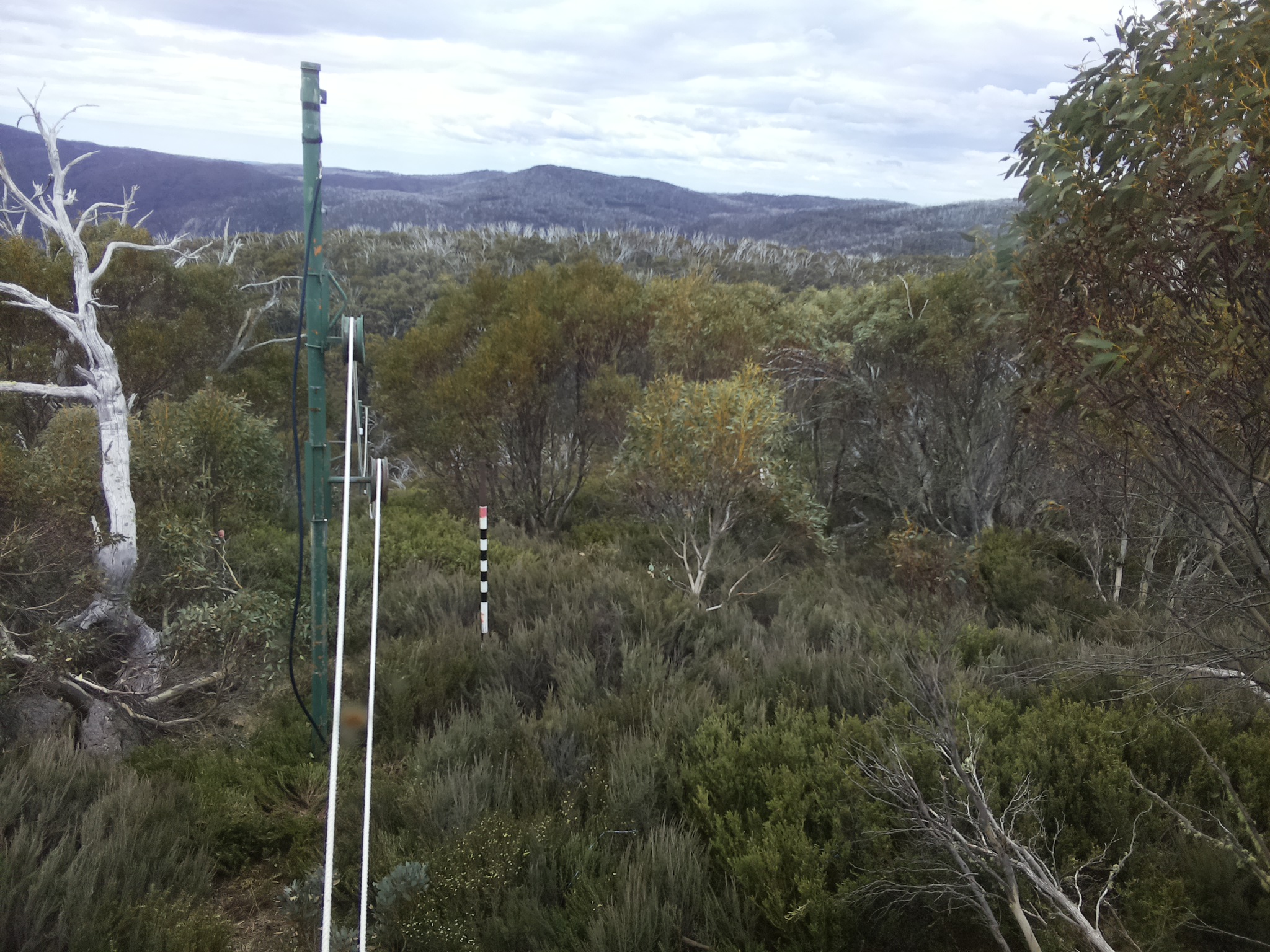 Bogong Web Cam 12:10pm Friday 31st of October 2025
