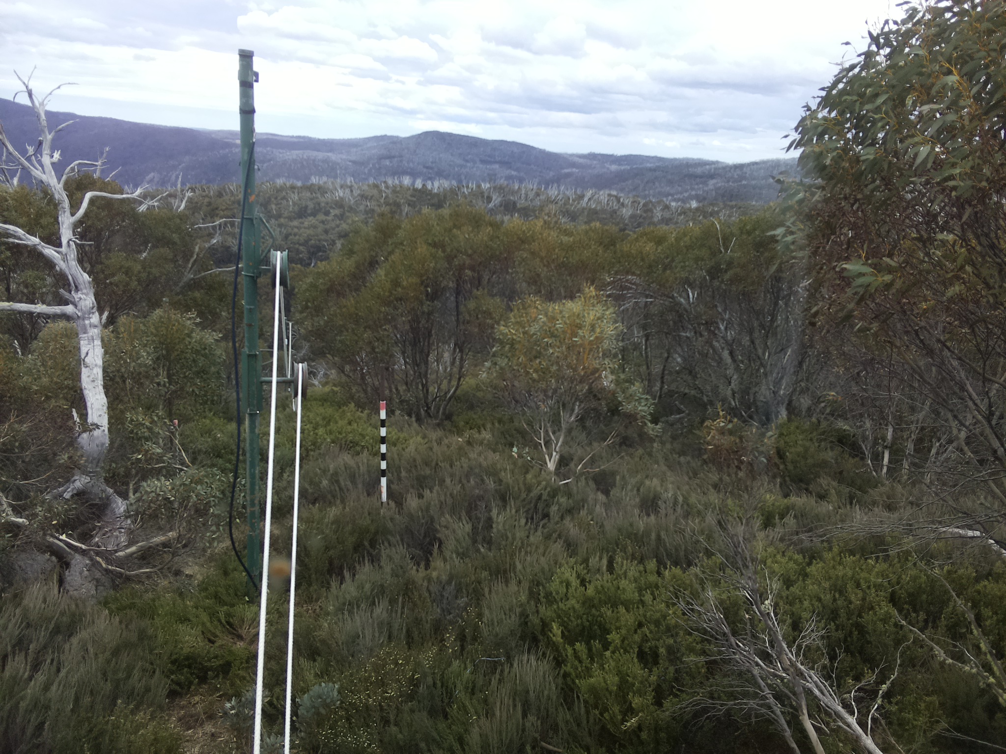 Bogong Web Cam 12:20pm Friday 31st of October 2025