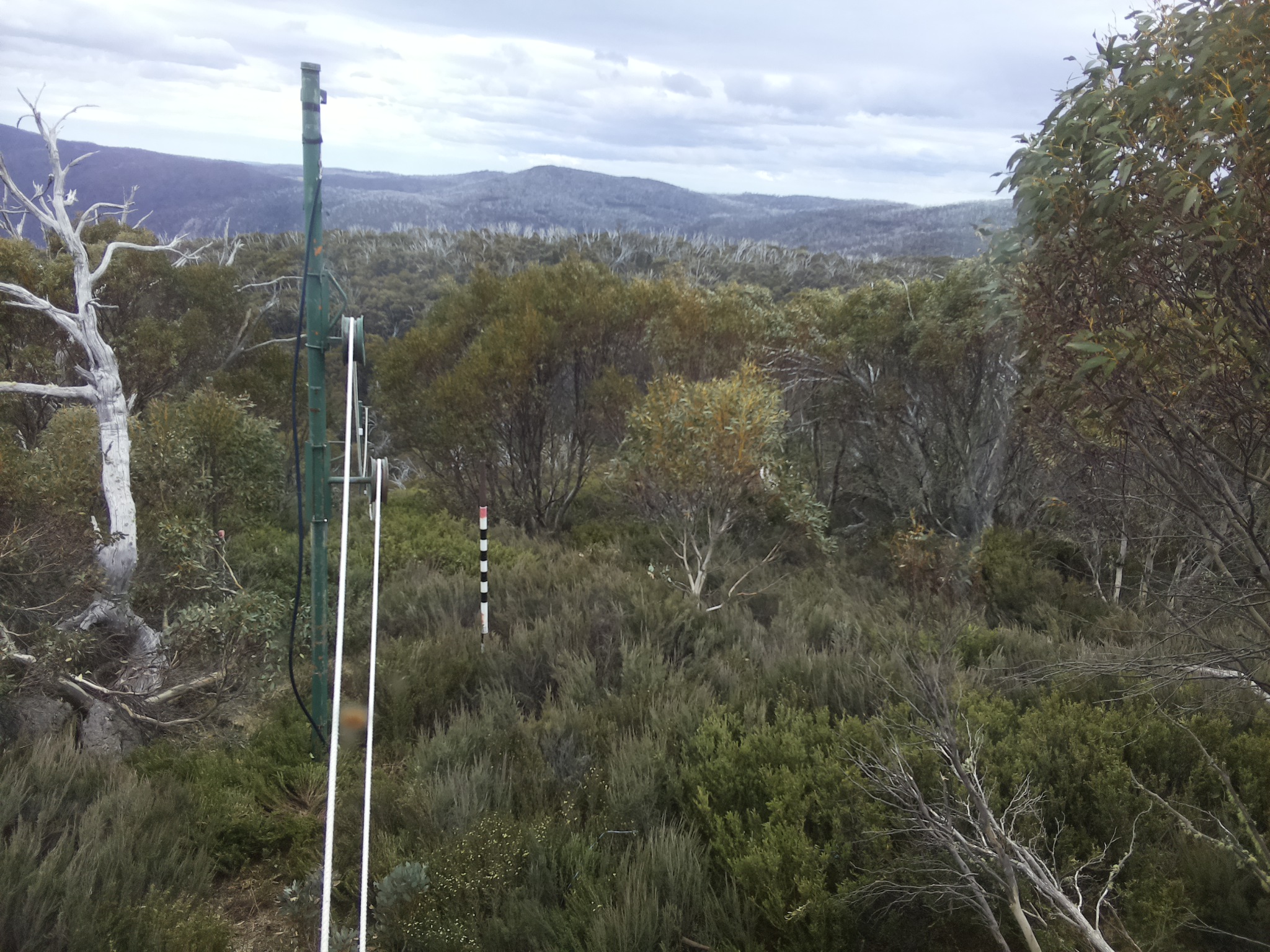 Bogong Web Cam 12:30pm Friday 31st of October 2025